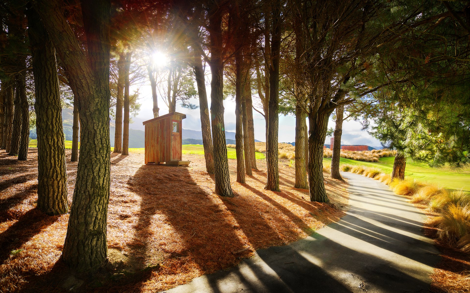 bäume gehweg holzhaus berge natur sonne strahlen