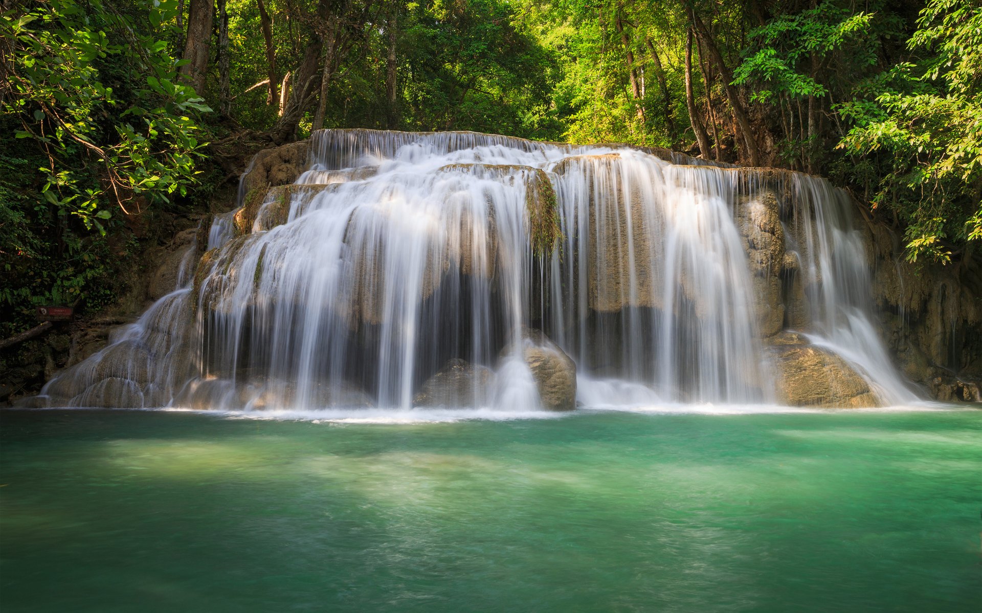 cascada agua bosque árboles vegetación