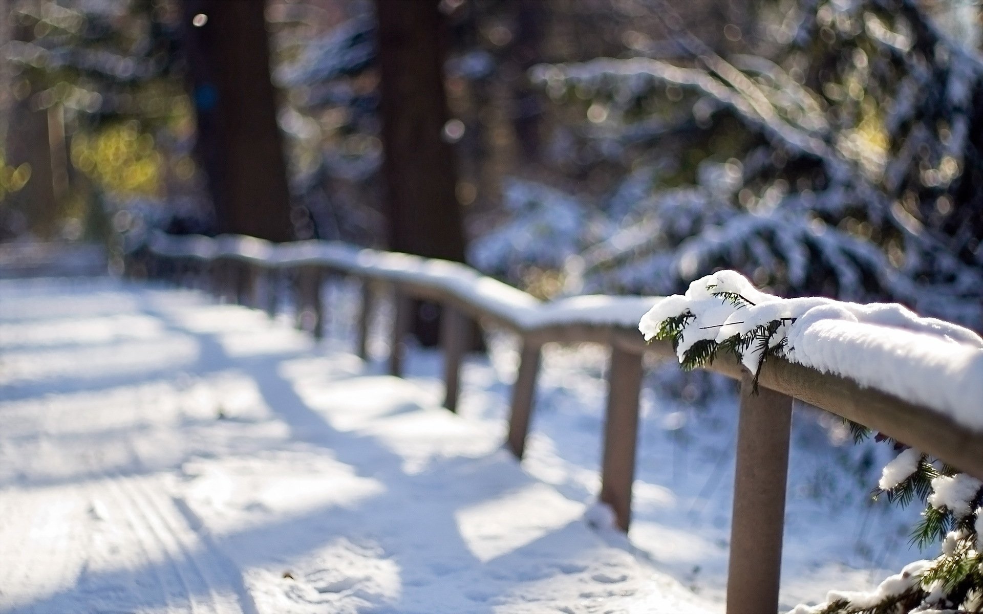 hiver neige clôture gros plan