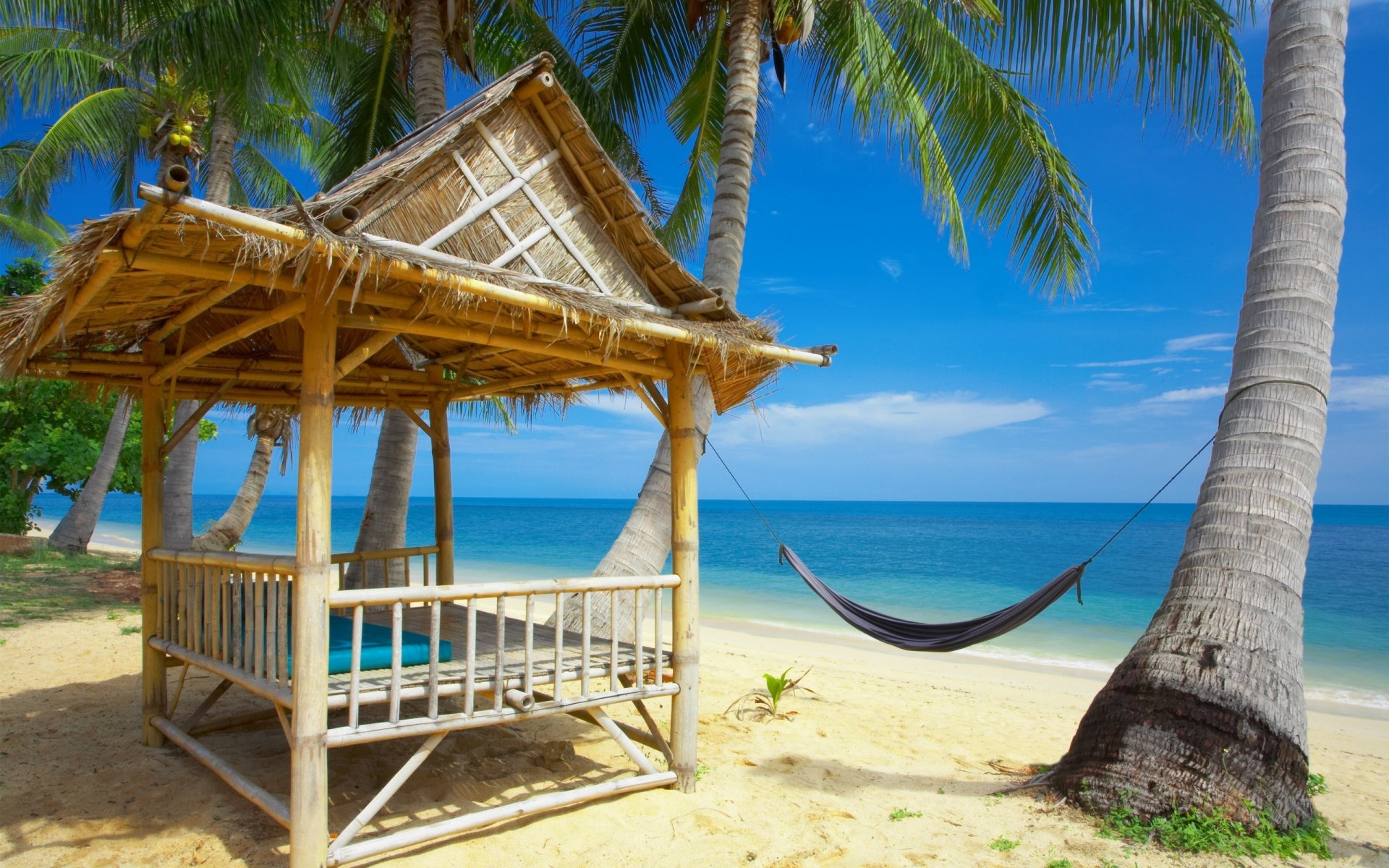 meer strand himmel palmen hängematte