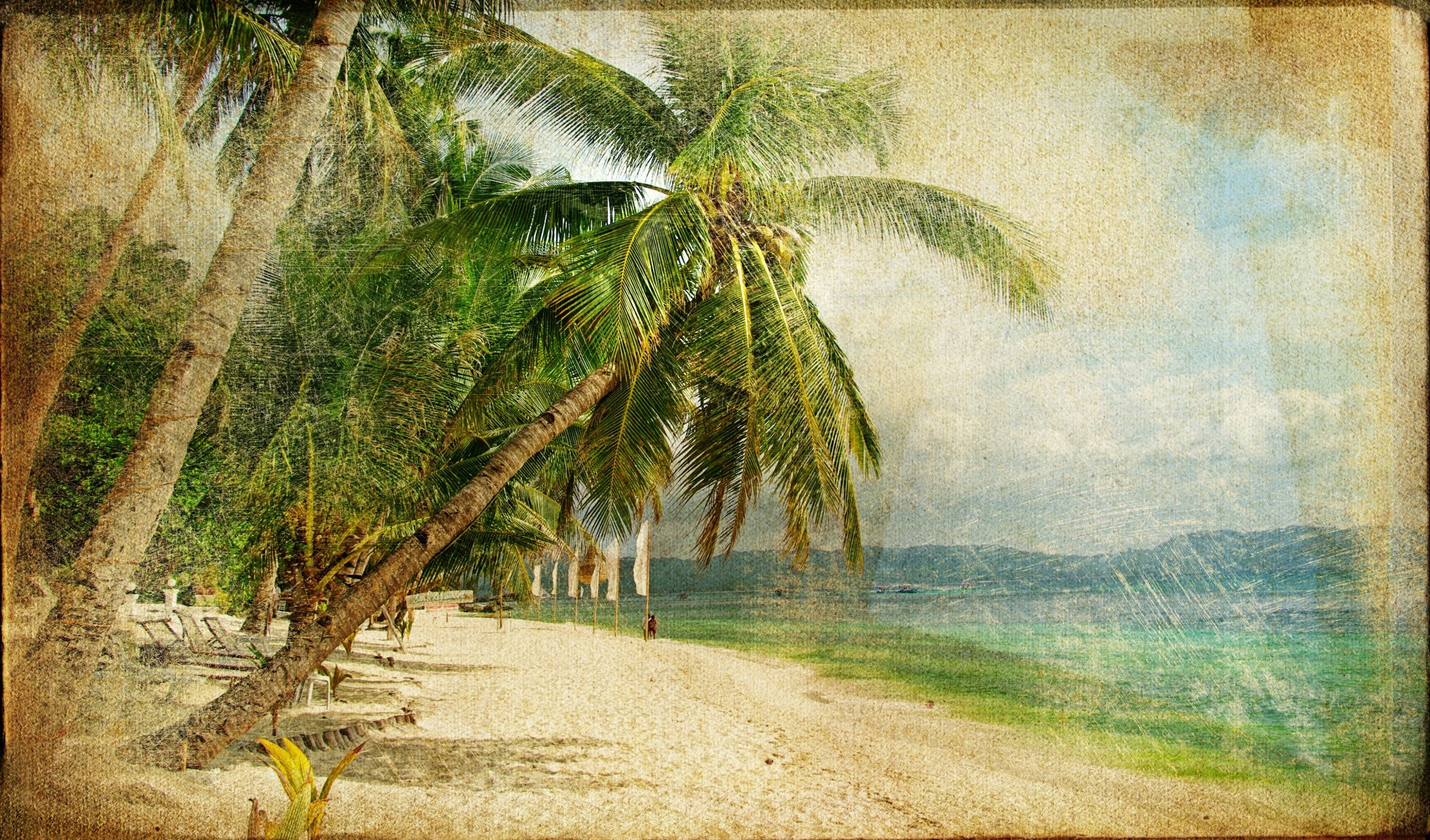 vintage vintage old photography palm trees sea coast people