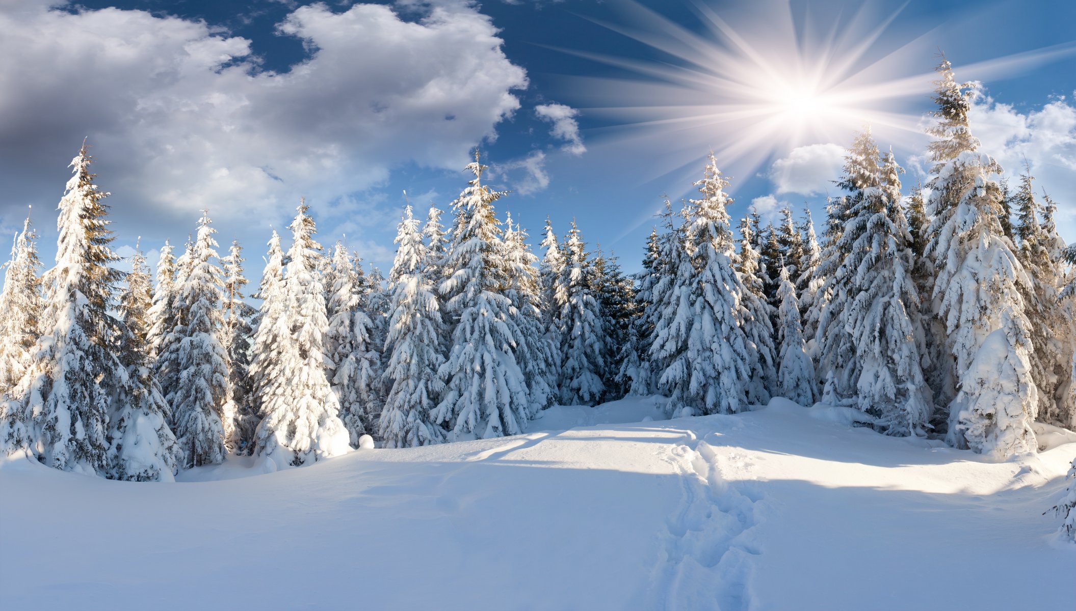 invierno bosque nieve camino sol nubes