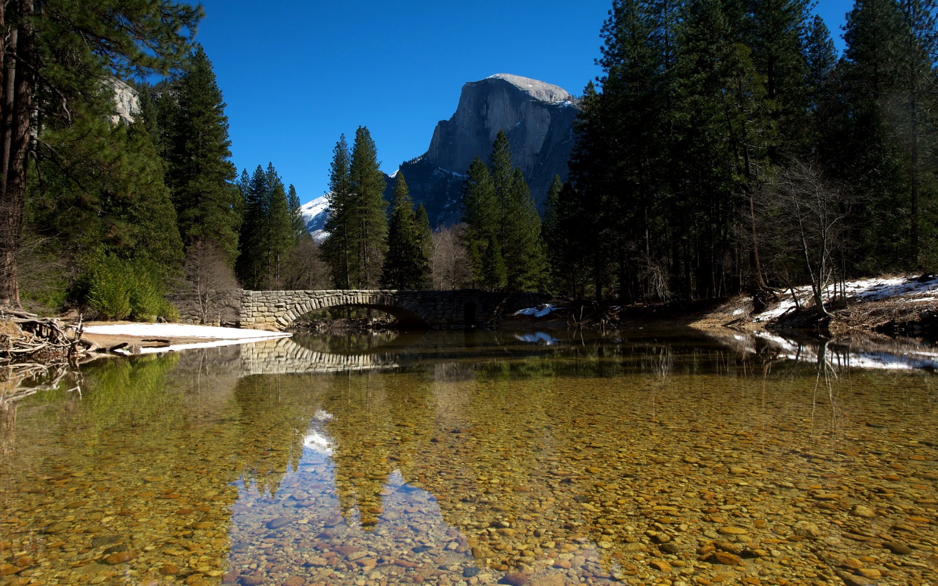 river bridge nature landscape