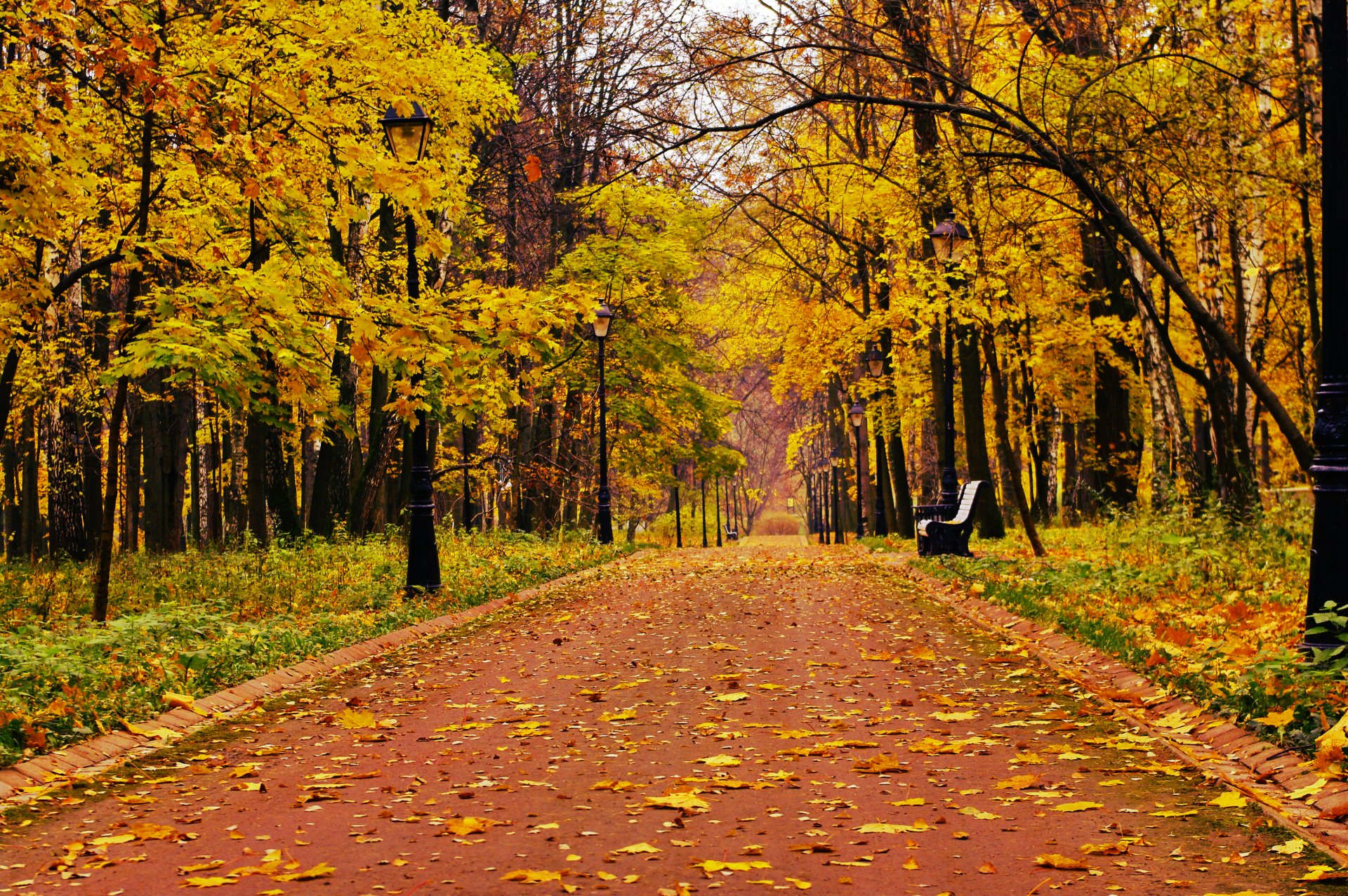 park las samotność ławka ławka nastrój