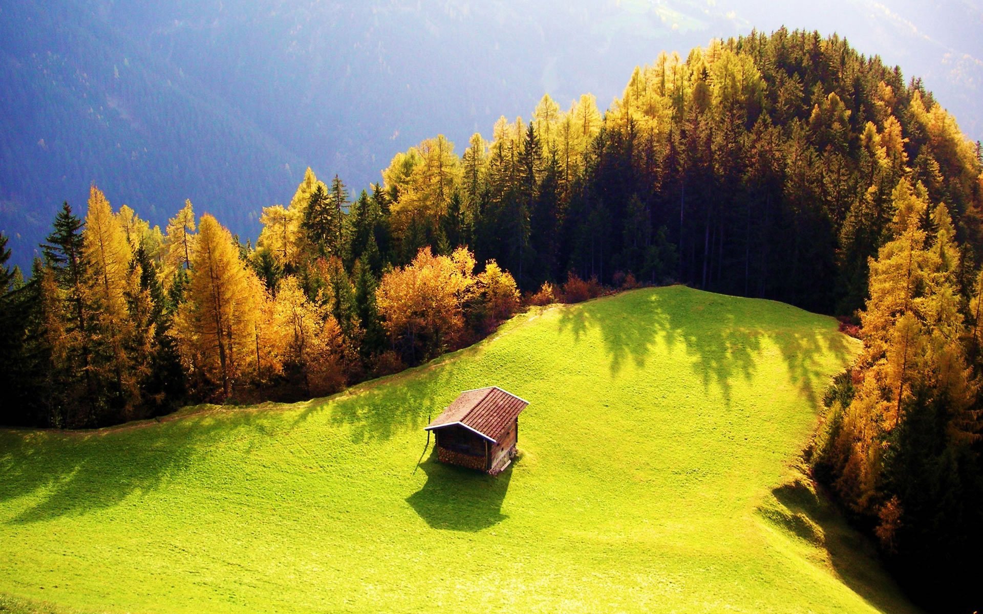 herbst sonne hügel wald lichtung hütte