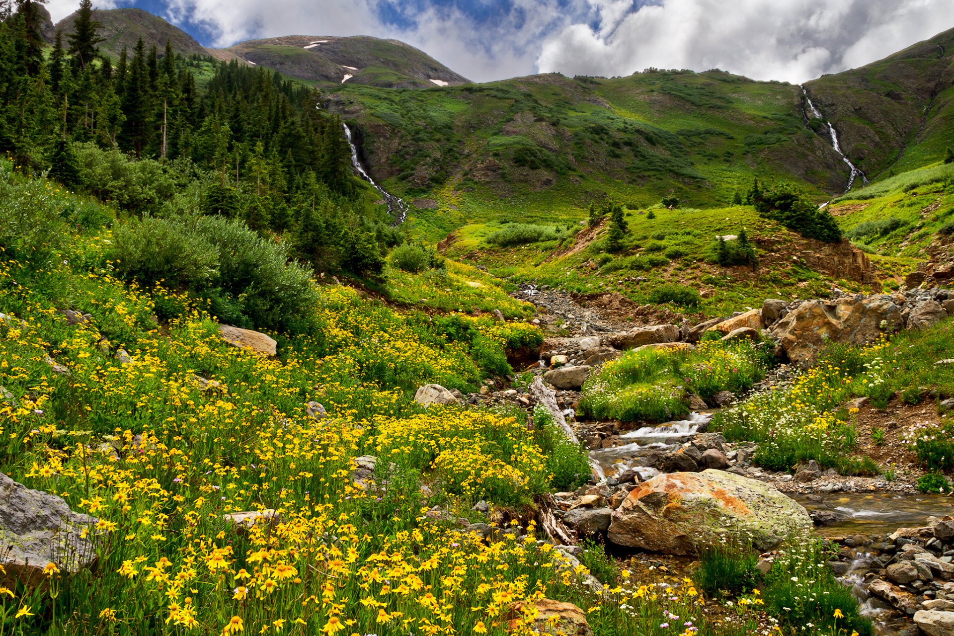 berge bäume wald bach steine gras feld blumen natur