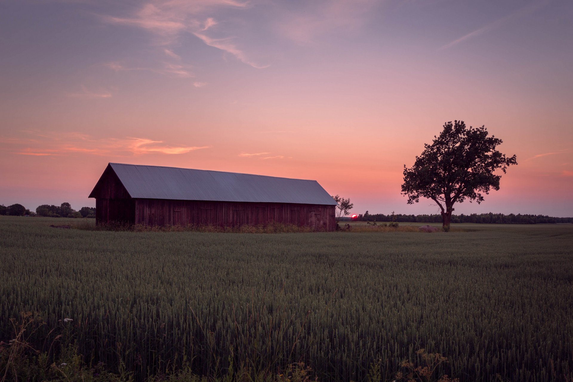 suède champ clairière ferme arbres soir soleil coucher de soleil orange ciel nuages