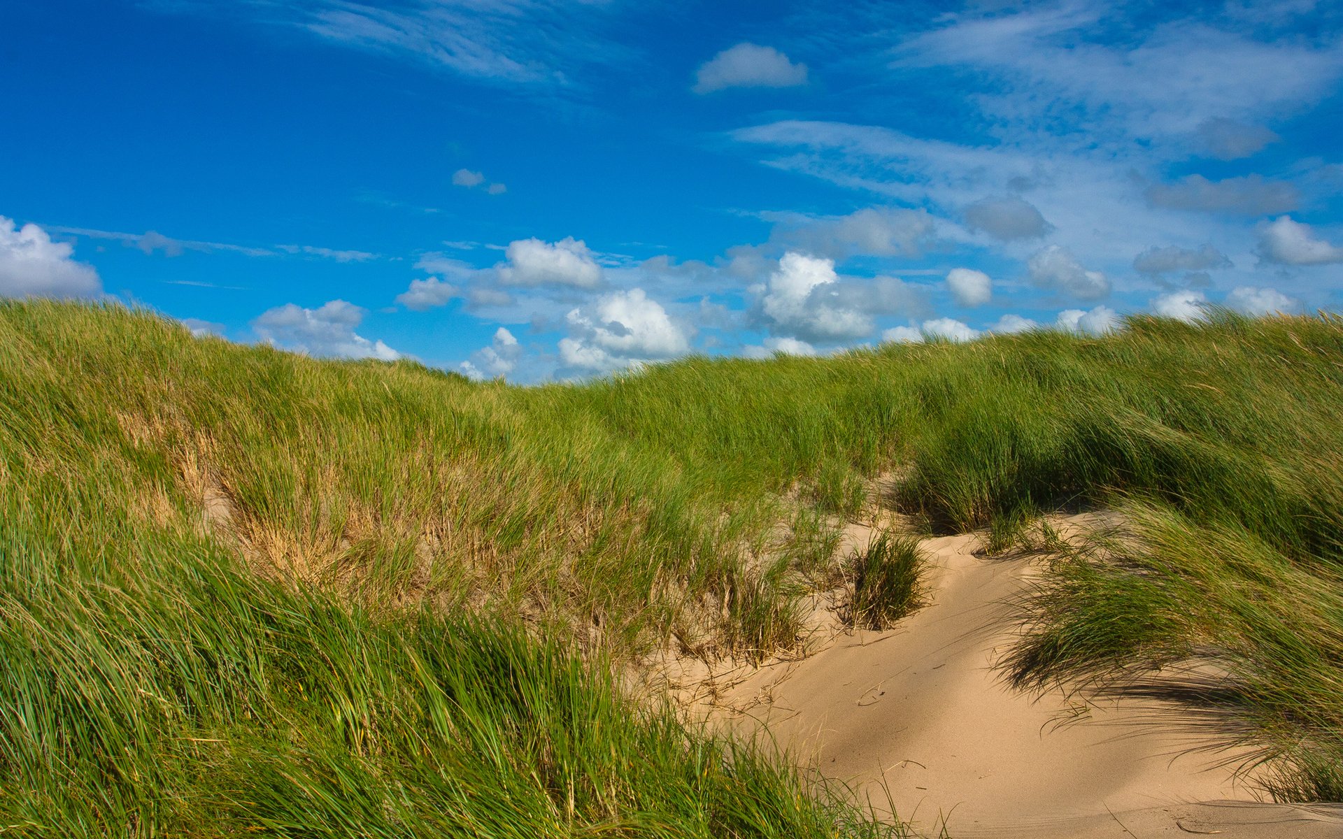 herbe sable ciel verdure nuages ensoleillé dunes collines