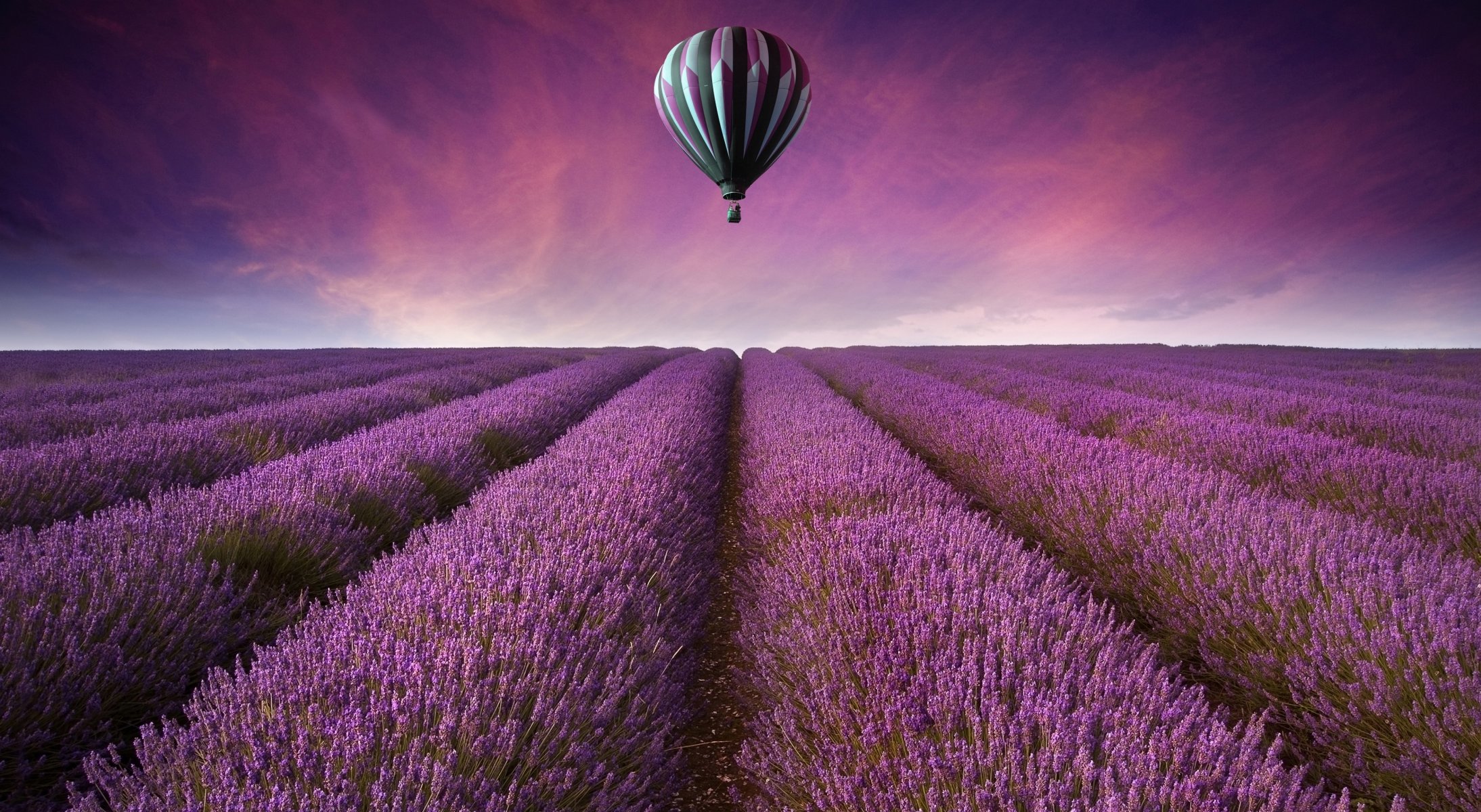 natura paesaggio campo campi lavanda palloncino fiori viola cielo sfondo carta da parati widescreen a schermo intero widescreen widescreen