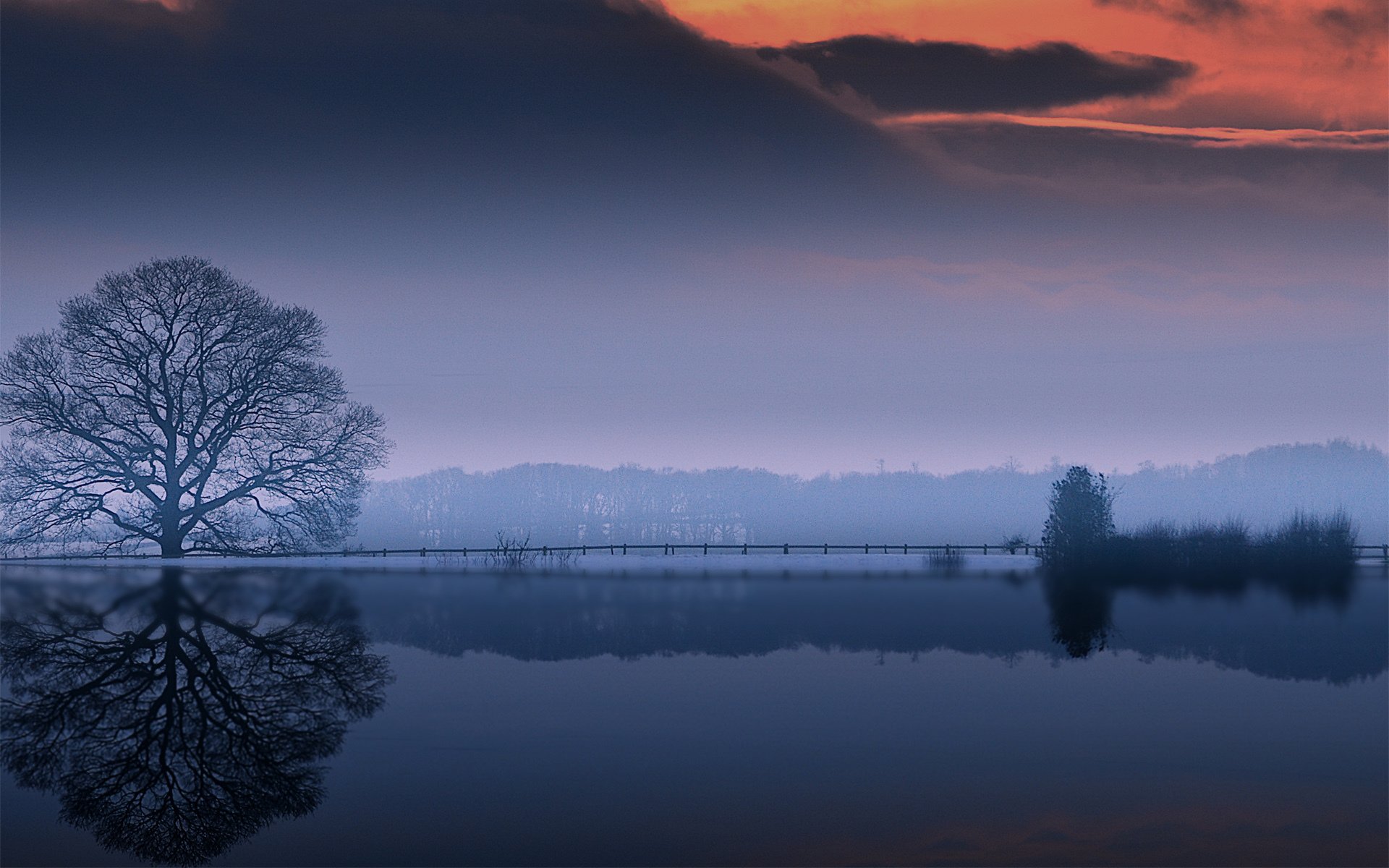 eau oezro arbre couronne réflexion nuages