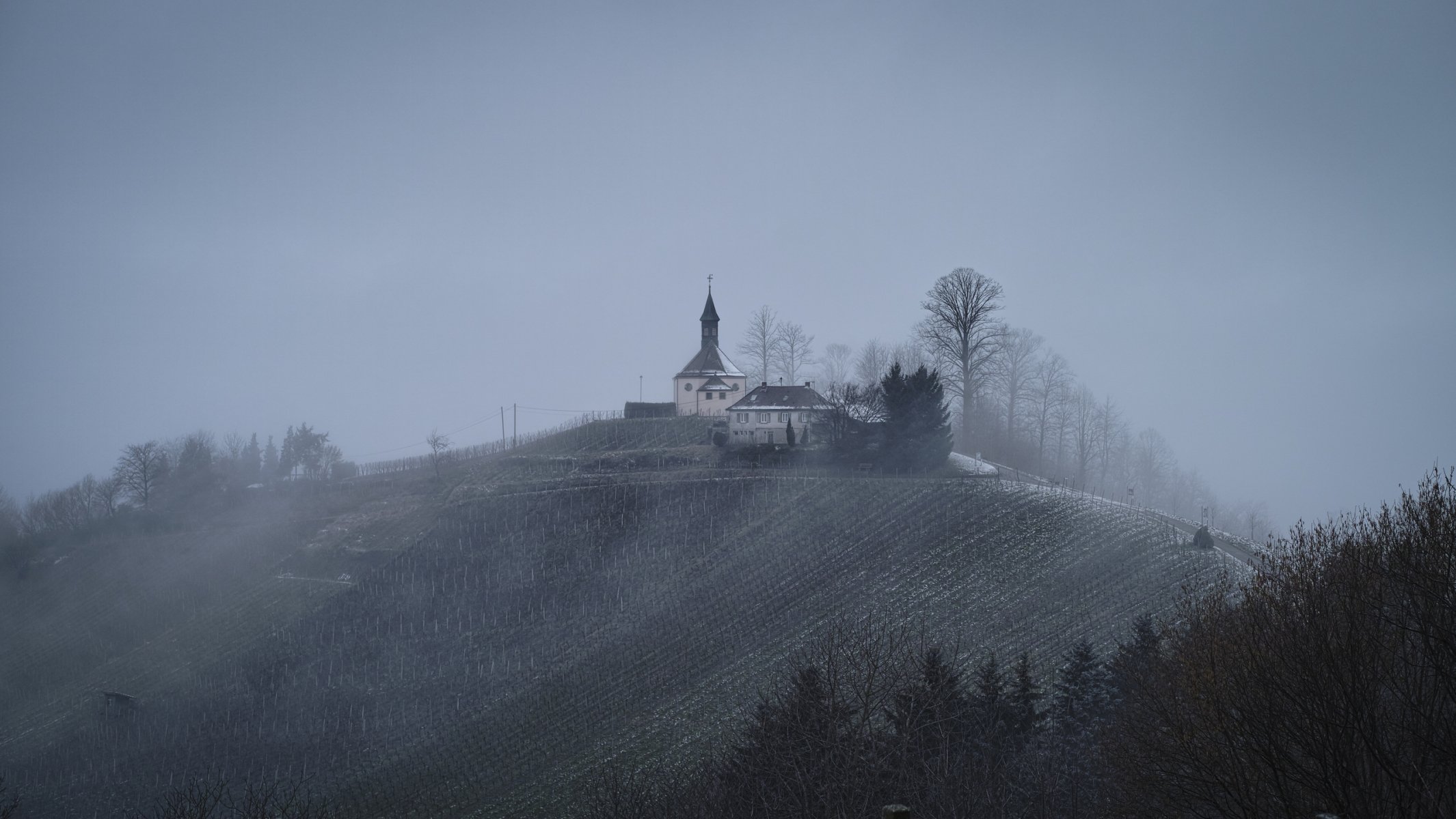 niemcy badenia-wirtembergia miasto gengenbach zima wzgórze dom roland s. vogt fotografia