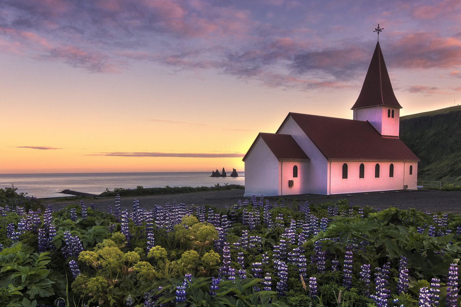 iceland church flower lupine coast ocean night sunset sky cloud