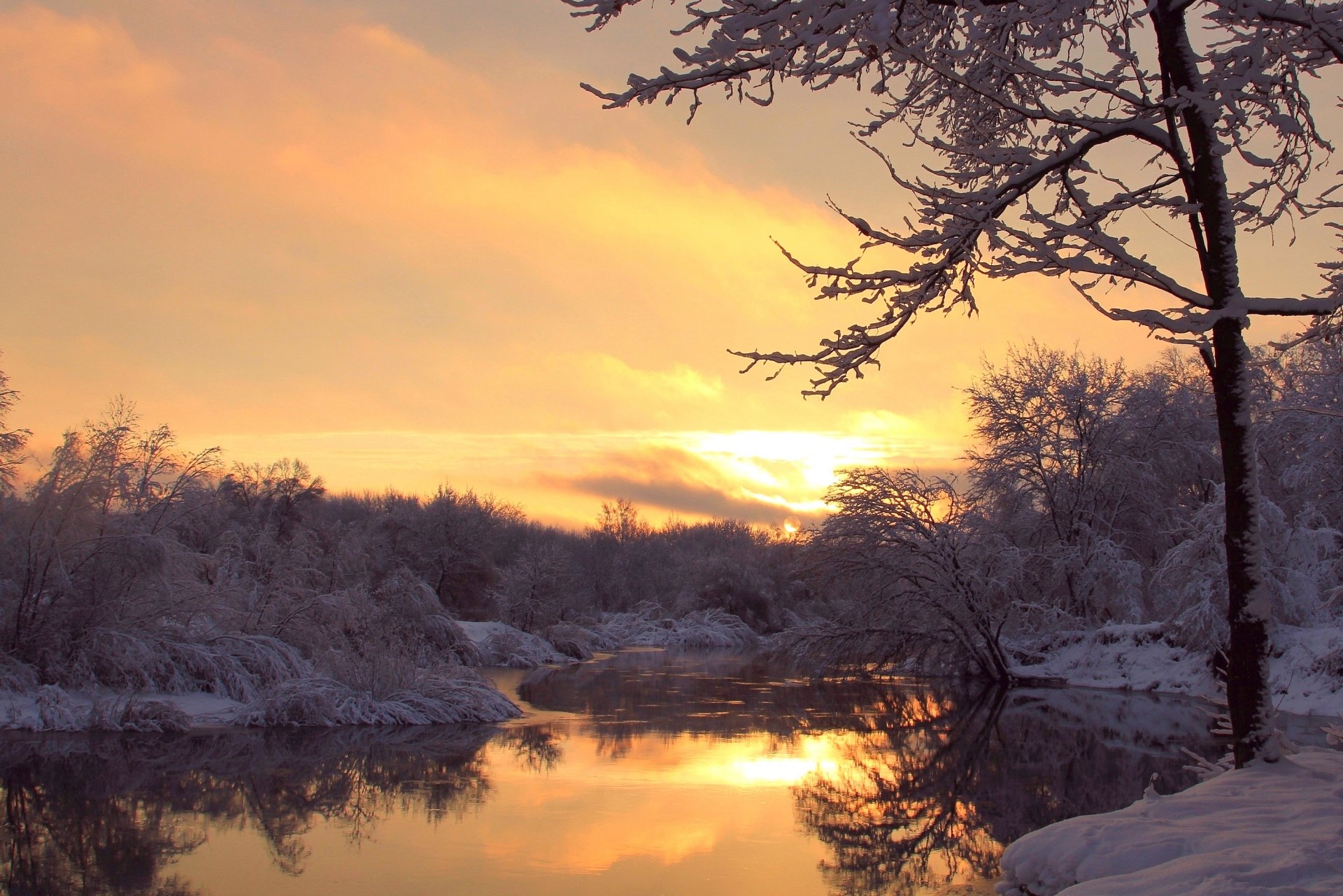 invierno río árboles escarcha tarde puesta de sol