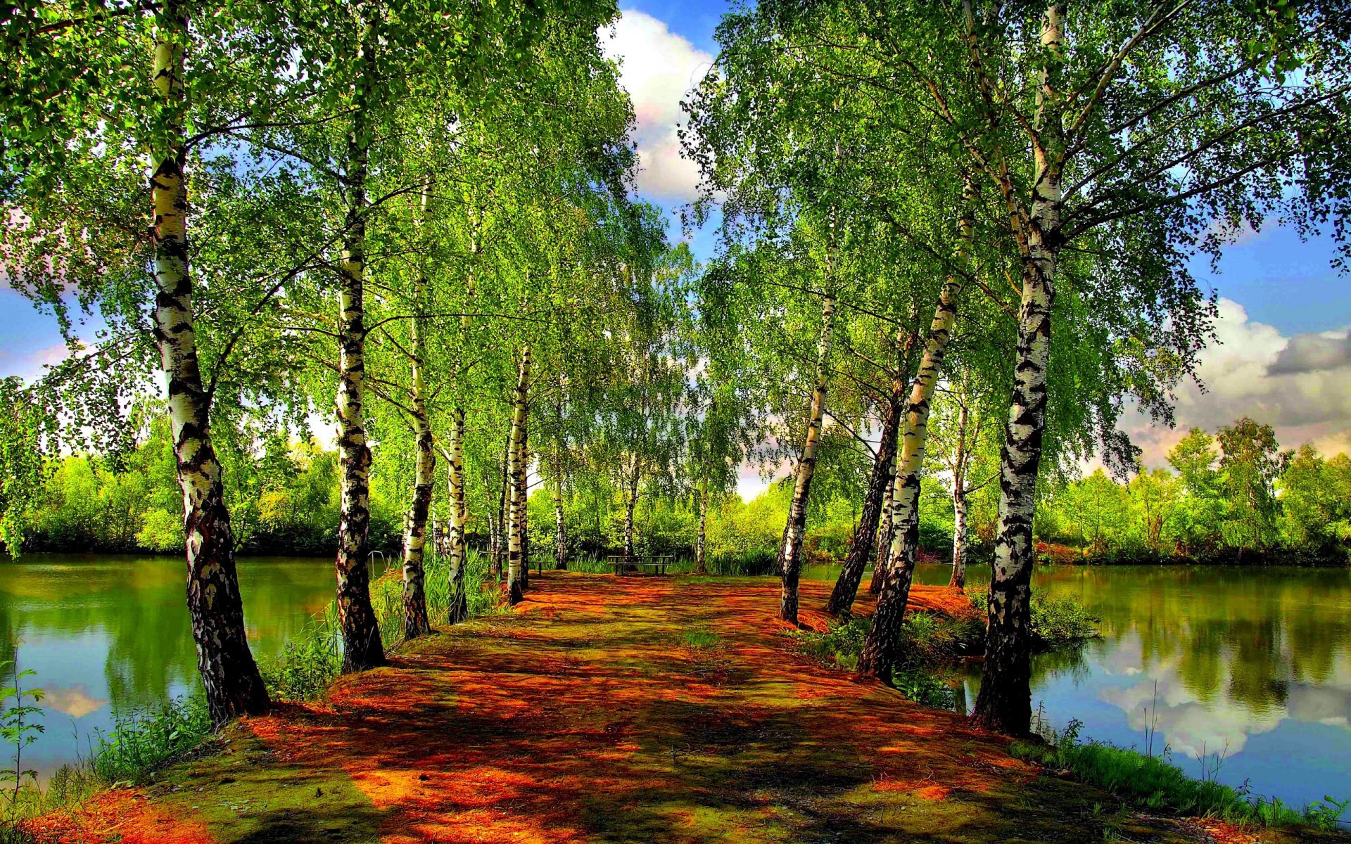 lago río árboles vegetación primavera bosque cielo nubes