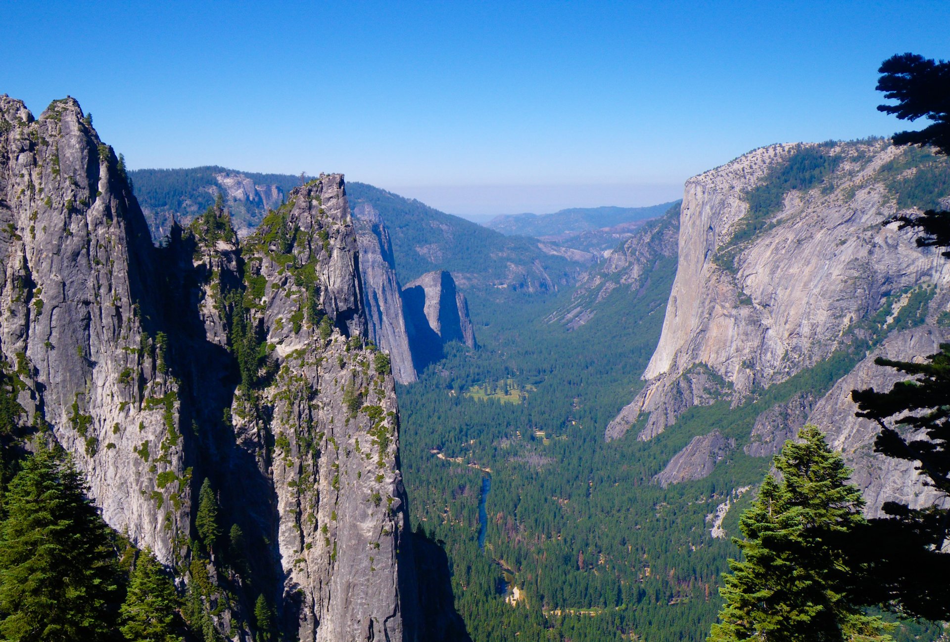 montañas bosque río naturaleza parque nacional de yosemite