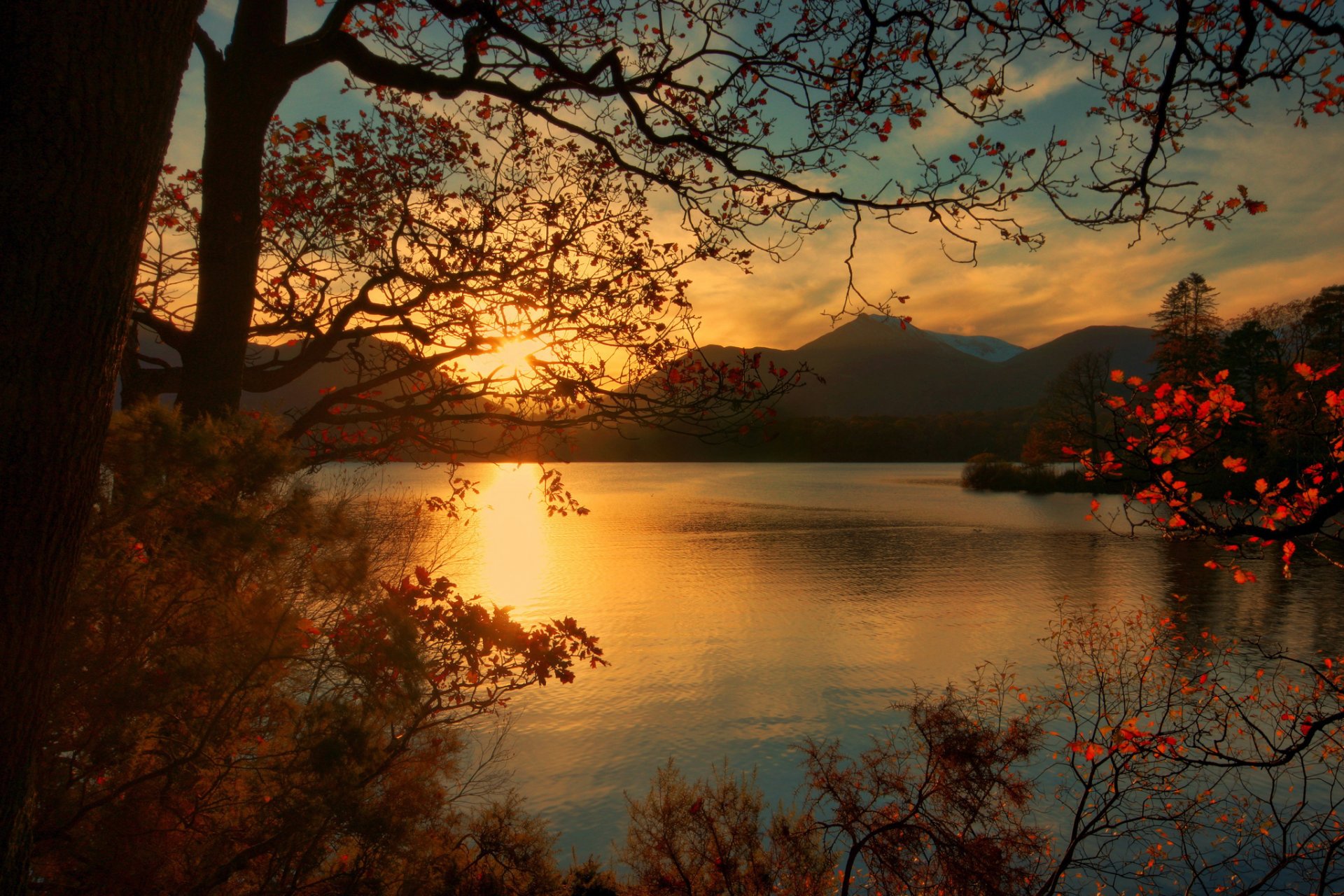 montagne lago alberi foglie autunno alba