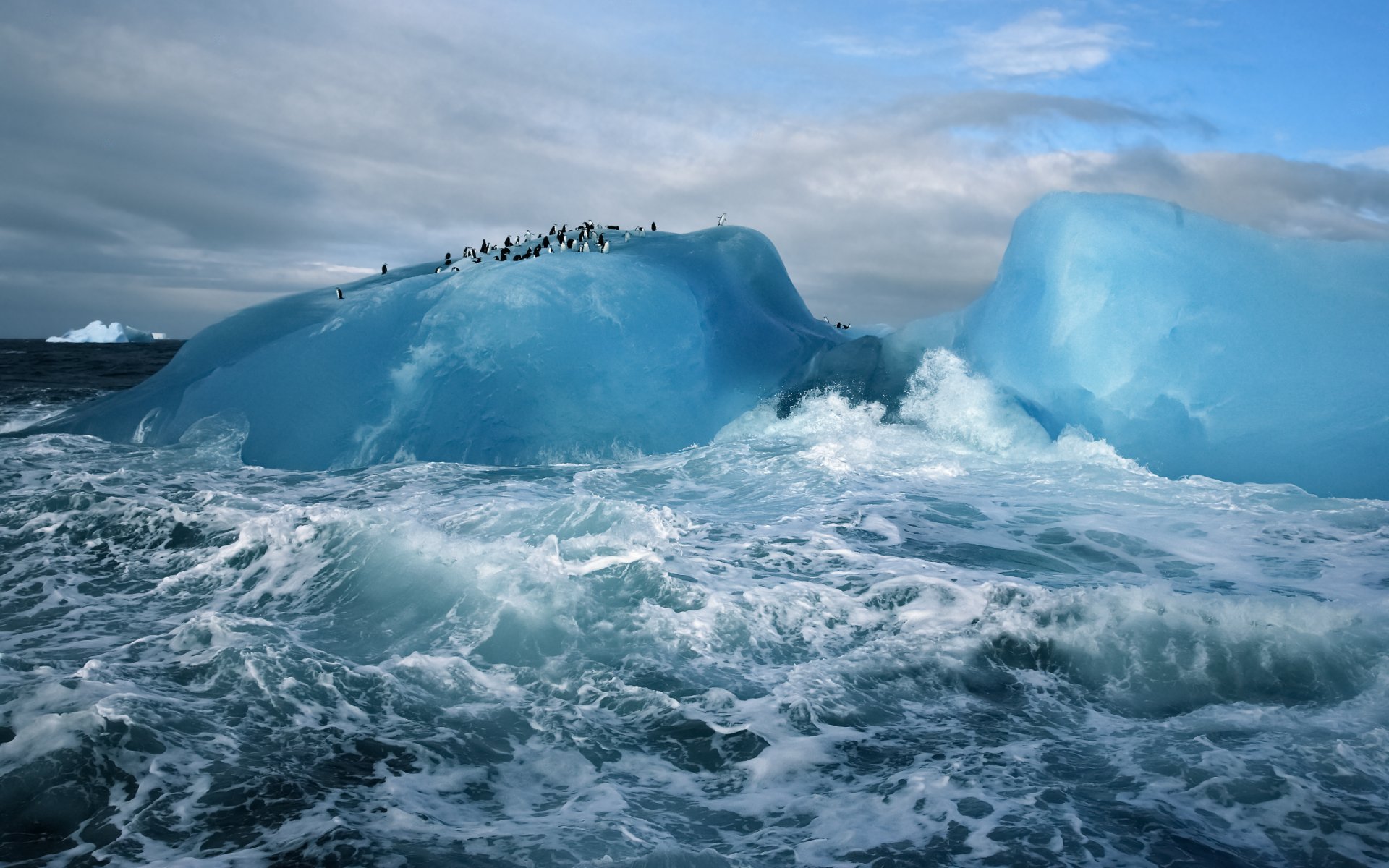 hielo azul ártico agua frío