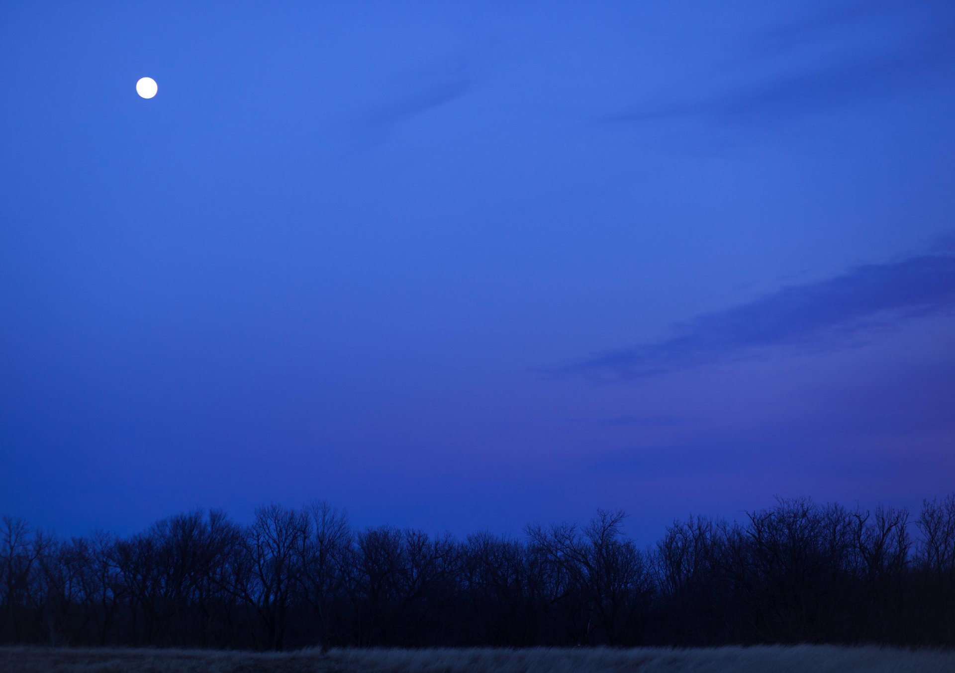 champ arbres nuit lune bleu ciel nuages