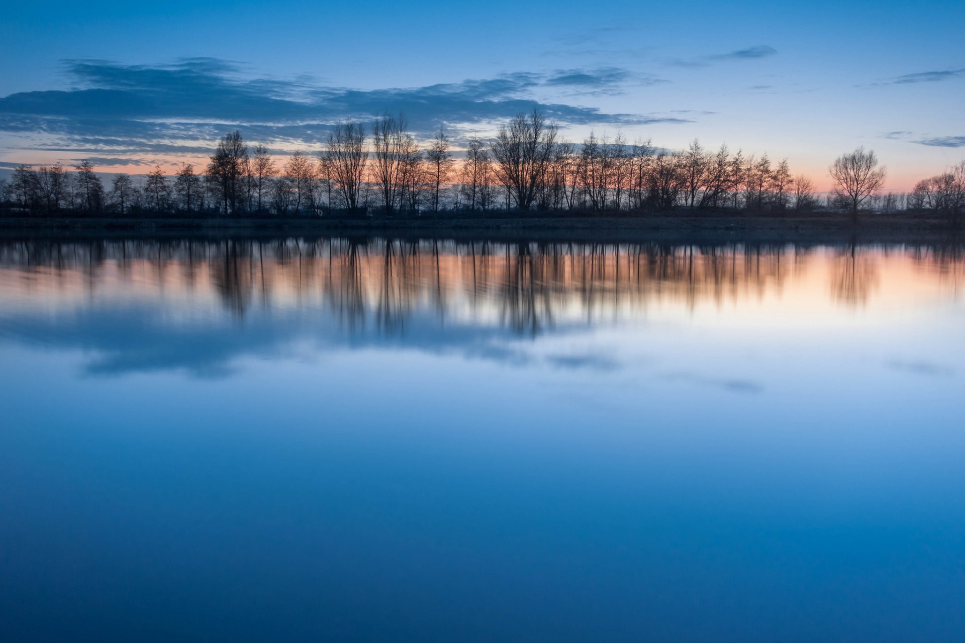 arbres rangée lac eau surface réflexion bleu ciel nuages soir coucher de soleil silence