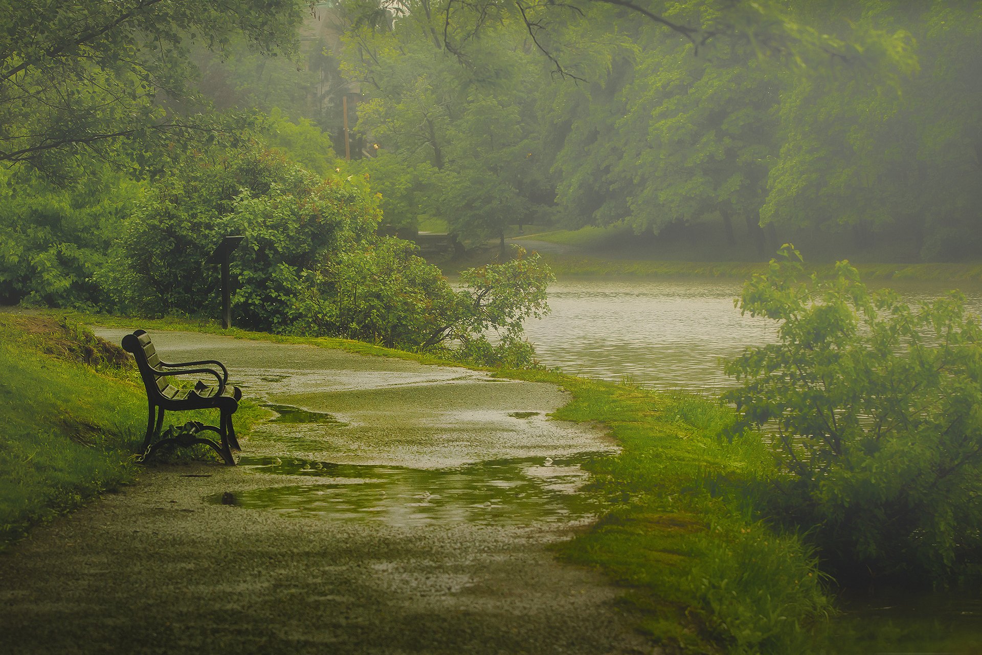 nature albany washington park shop rain spring may paul jolicoeur photography