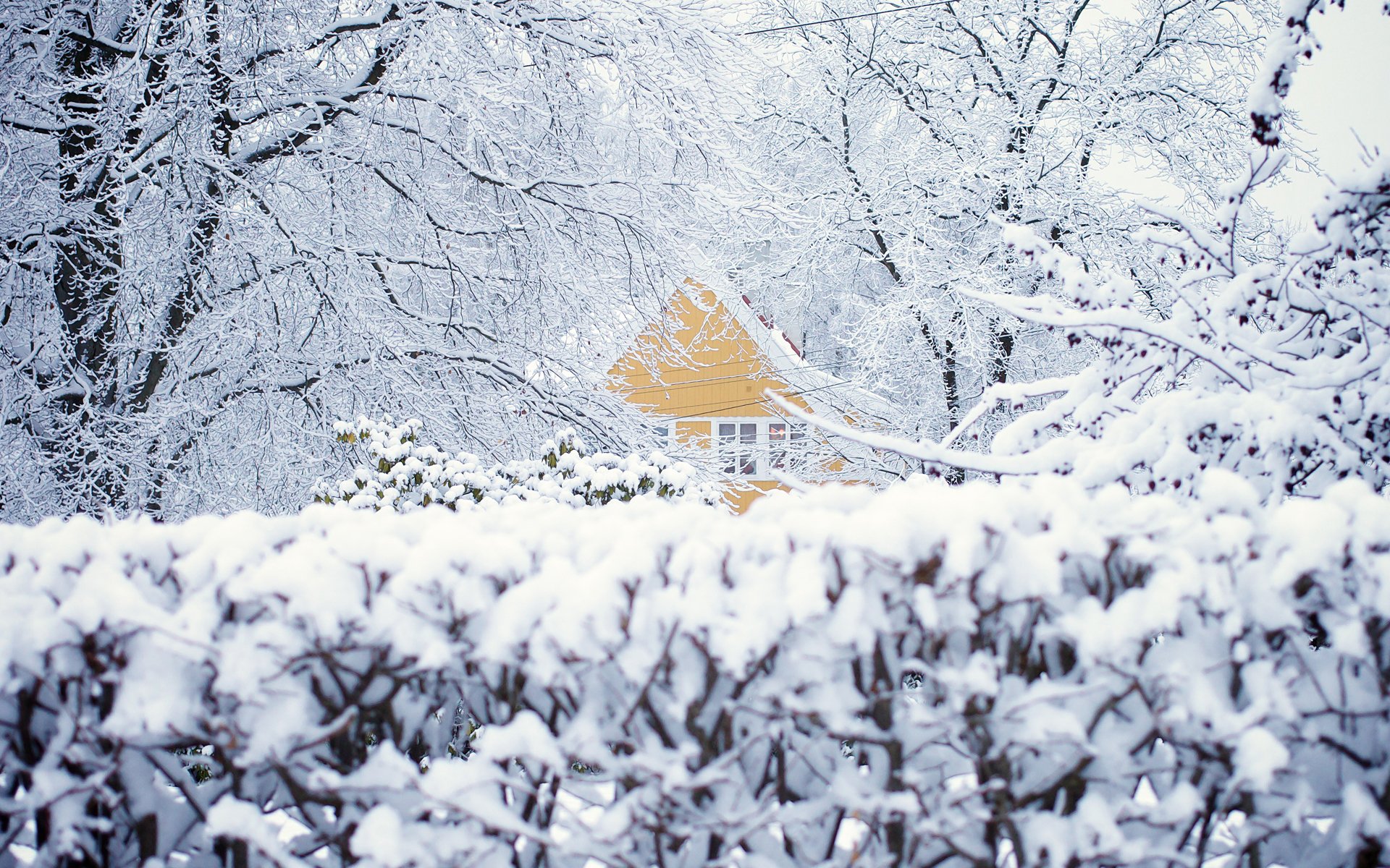 norwegen oslo winter schnee haus bäume