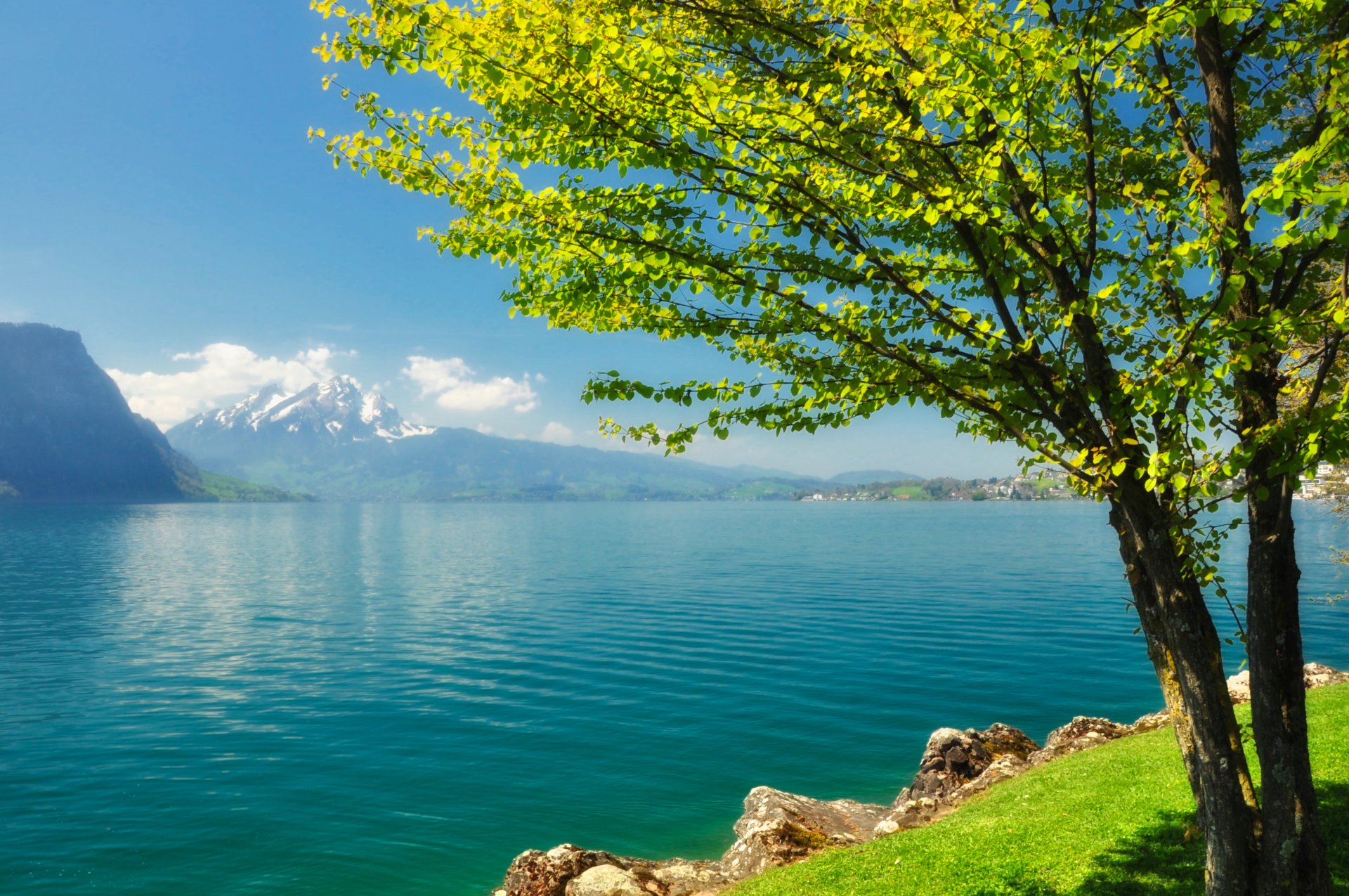 ufer see fluss baum sonnig berge