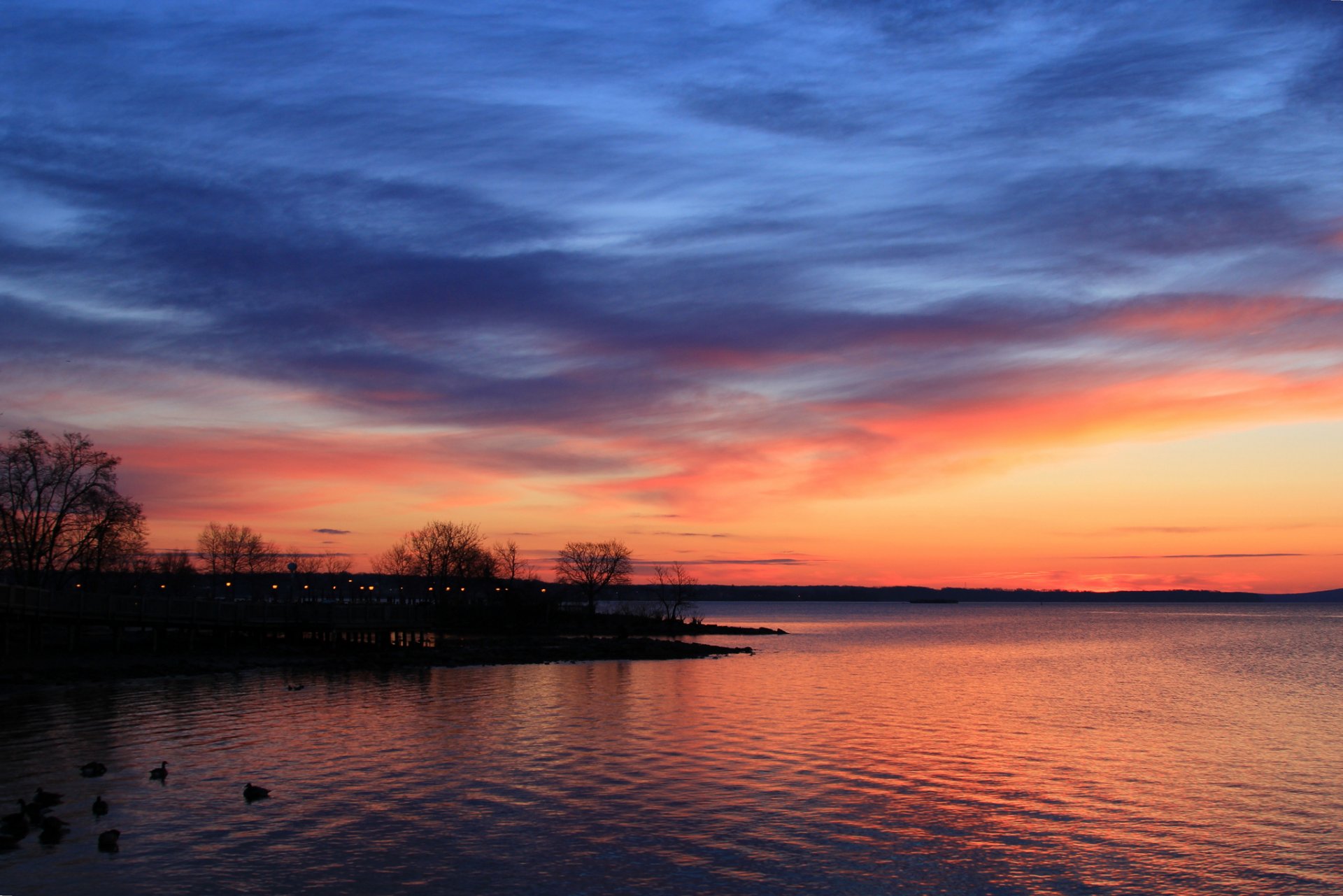 soir lac côte arbres canards oiseaux coucher de soleil ciel nuages