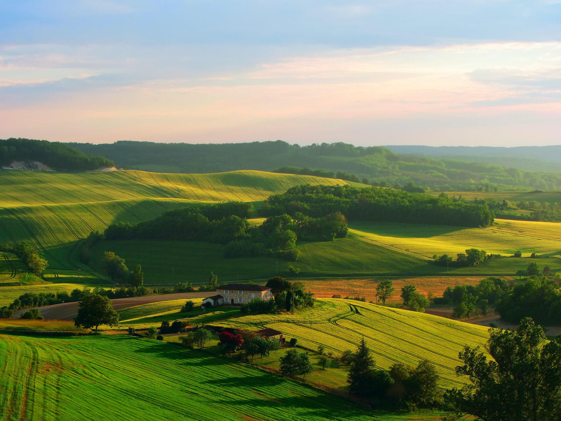 natura pola dom niebo