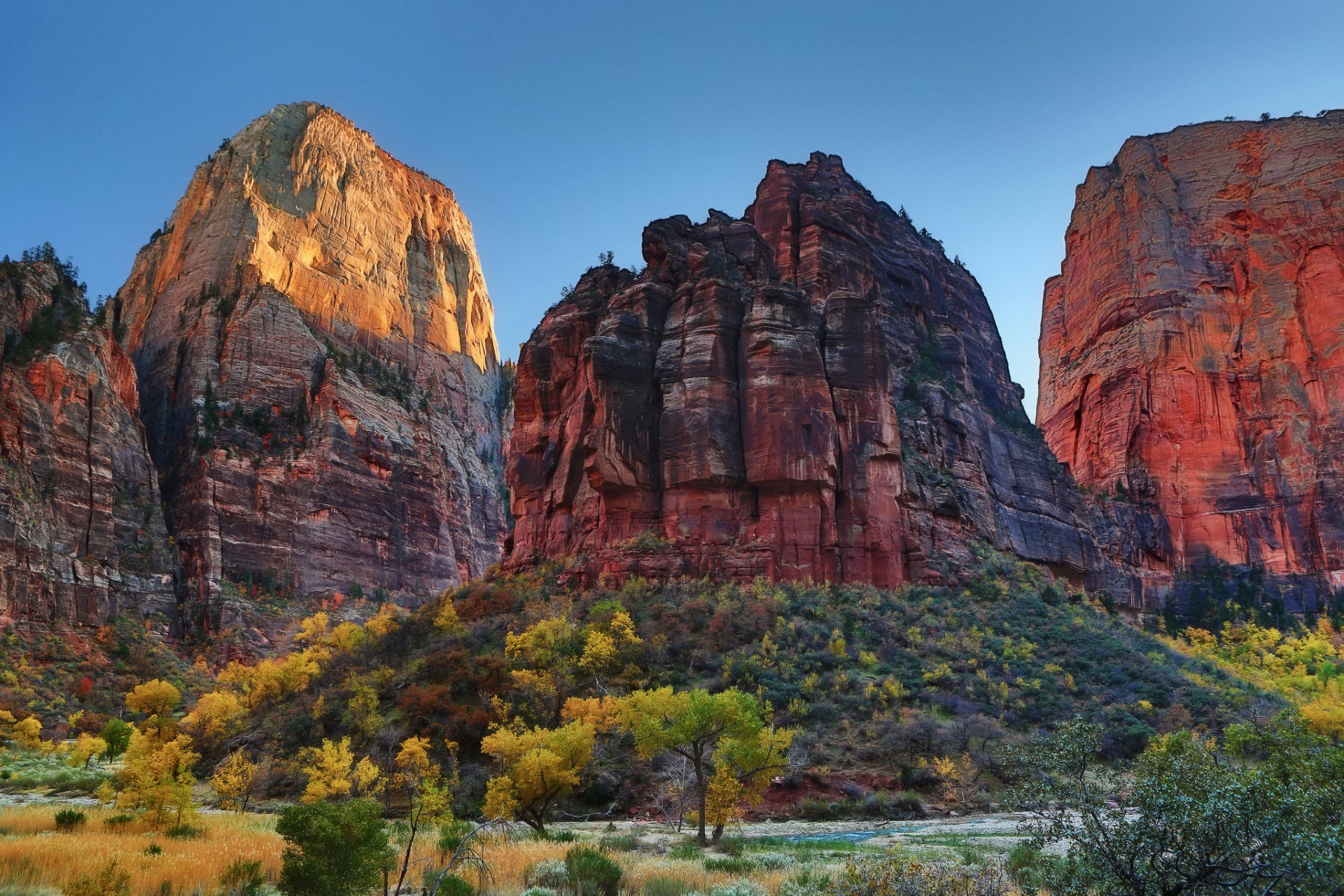 nature roches buissons arbres automne ciel états-unis parc national de zion zion utah