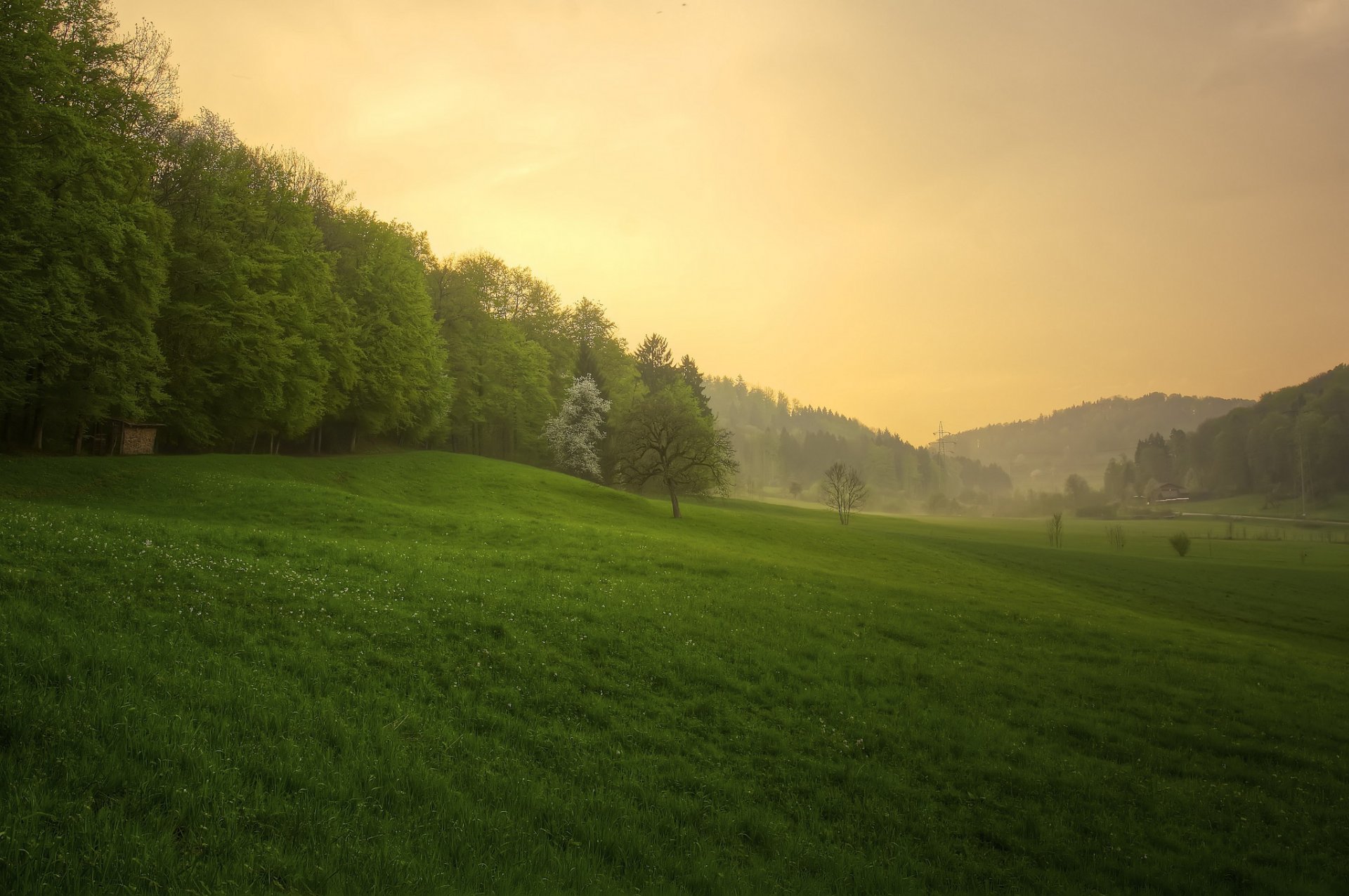 natur sonnenuntergang nach dem regen gras wald frühling