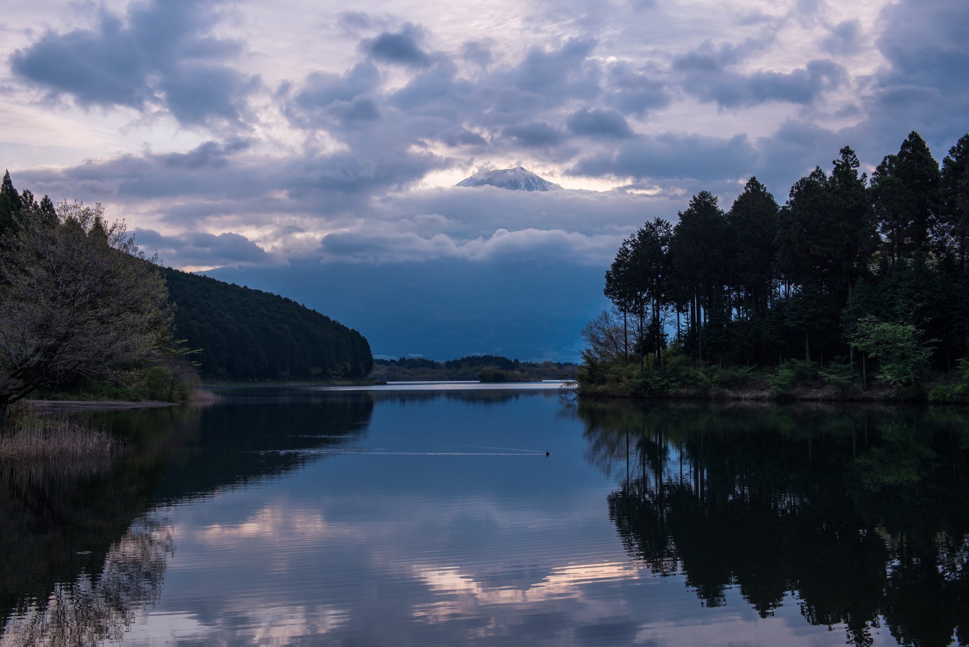 japonia honsiu prefektura shizuoka wieczór wulkan góra fuji fujiyama jezioro odbicie drzewa las niebo chmury