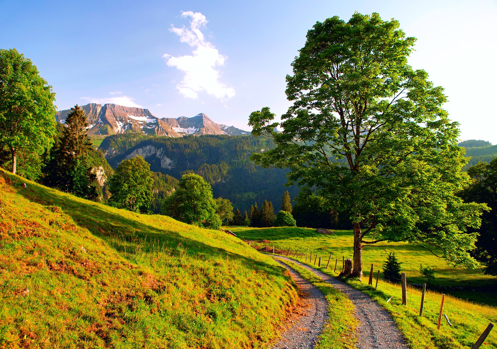 svizzera montagne alpi strada estate