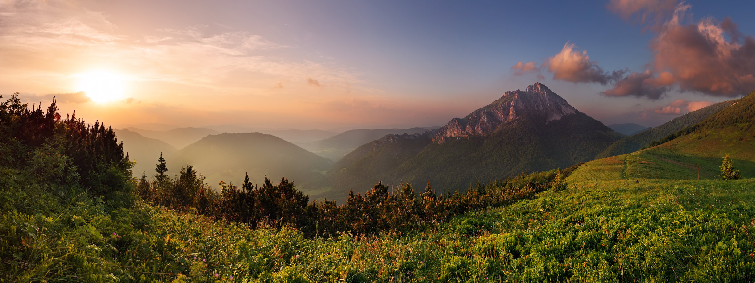 montagne nuvole foresta erba