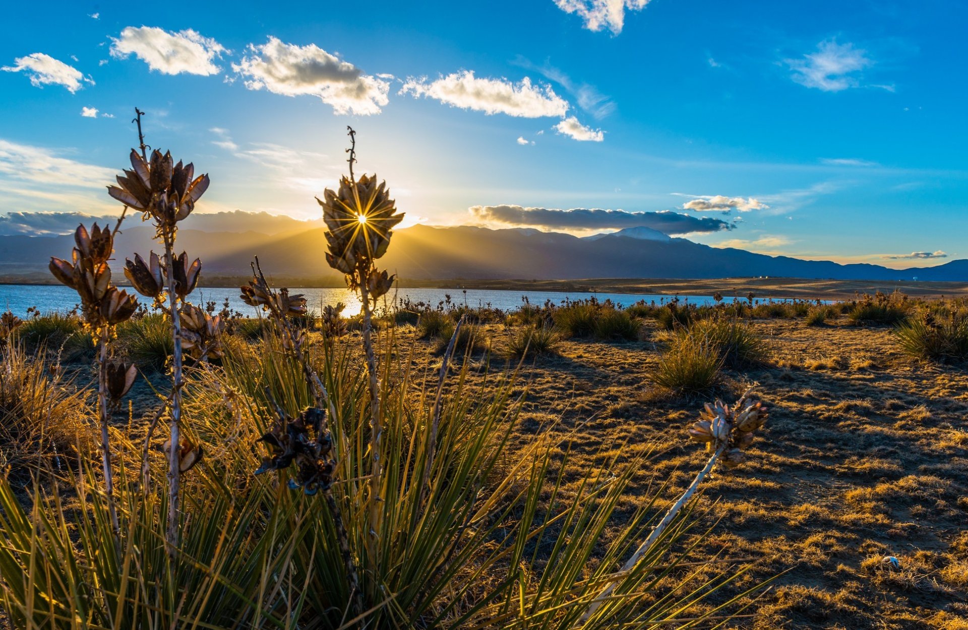 erba lago sole natura nuvole