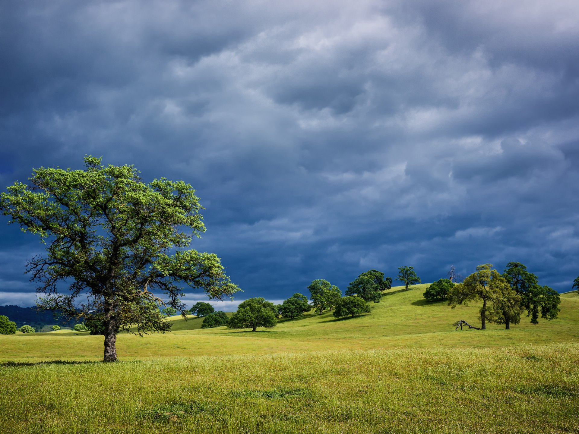 stati uniti california colline erba alberi primavera blu cielo tempesta nuvole paesaggio