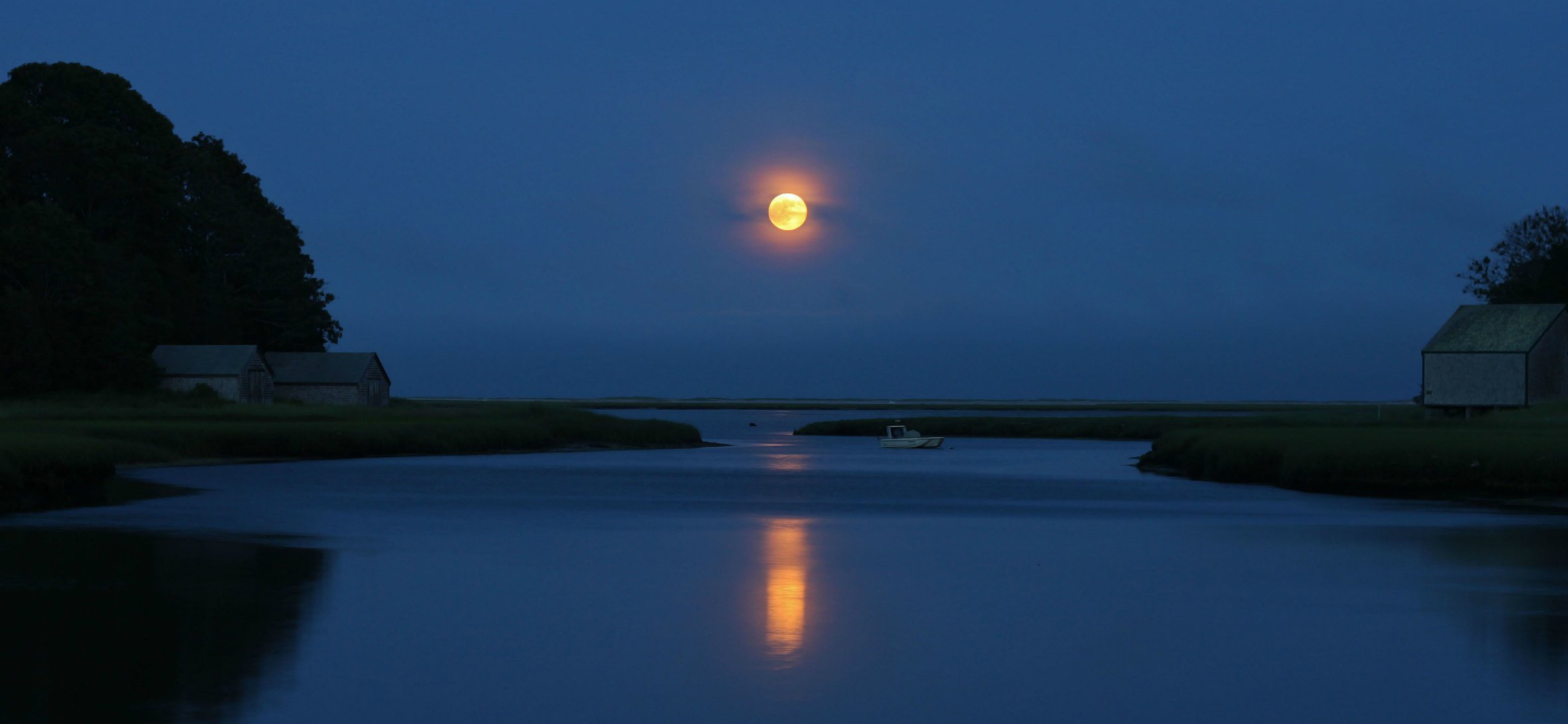 tree river night blue sky moon reflection