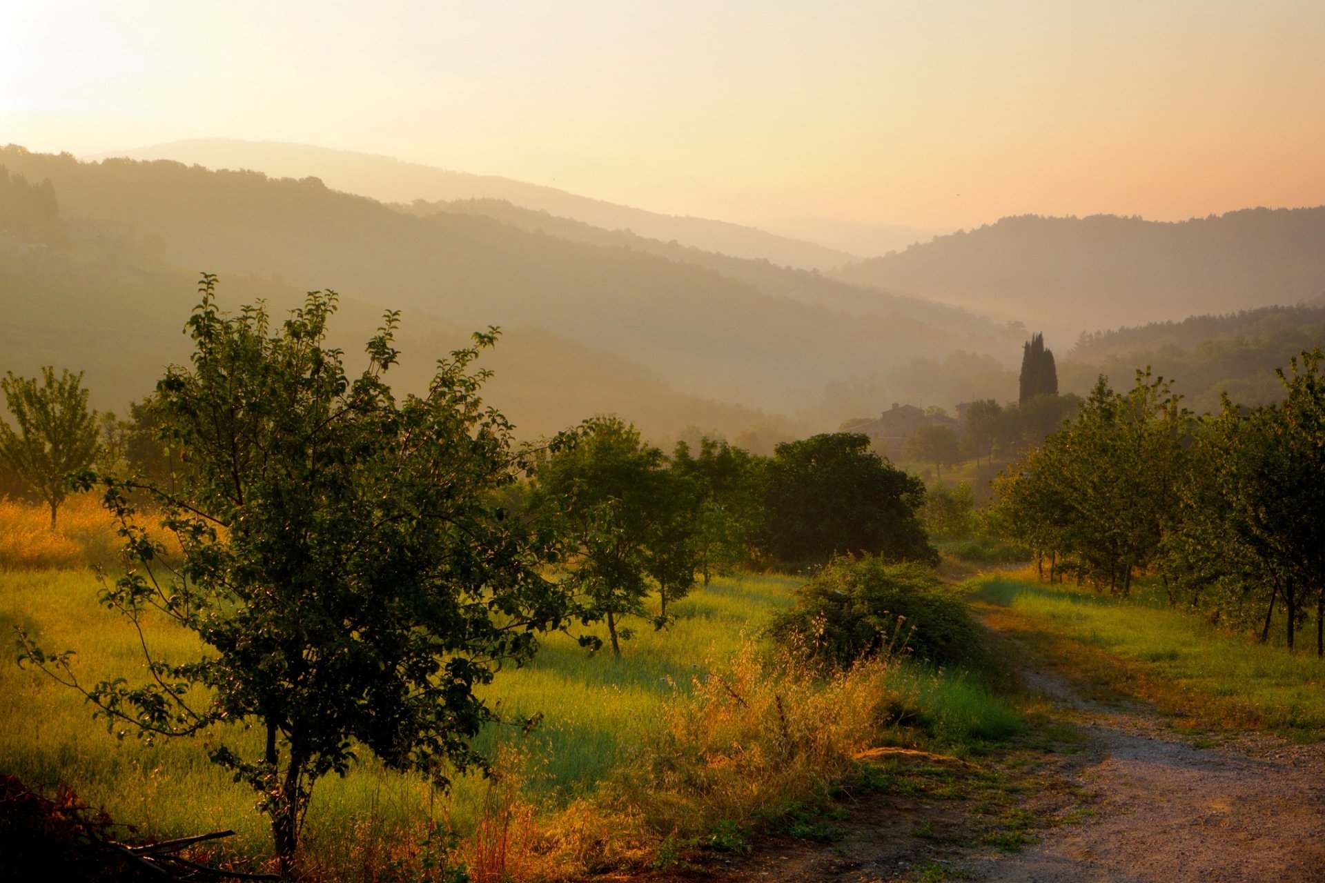 castellina en chianti toscana italia castellina in chianti niebla mañana amanecer sol naturaleza paisaje colinas jardines árboles hierba camino camino