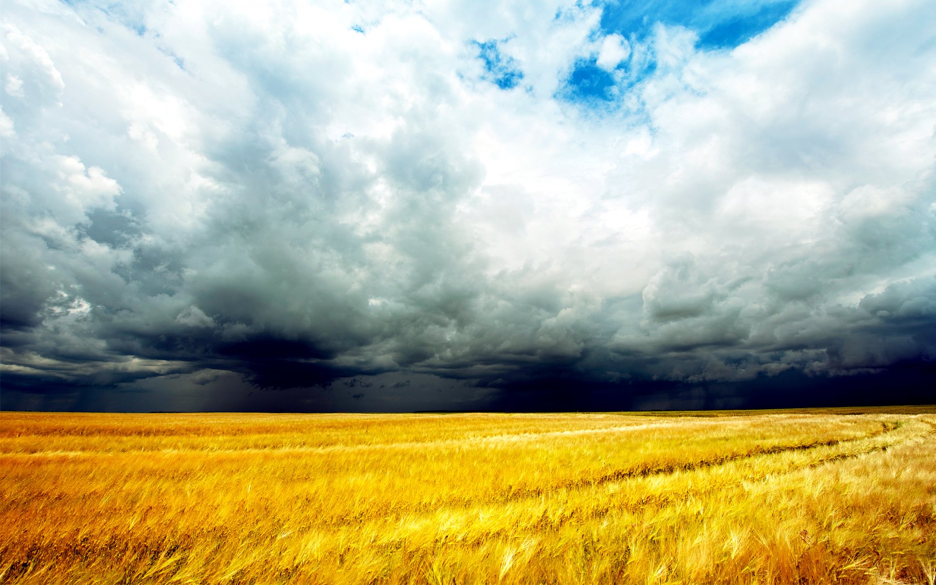 feld wolken getreide gewitter