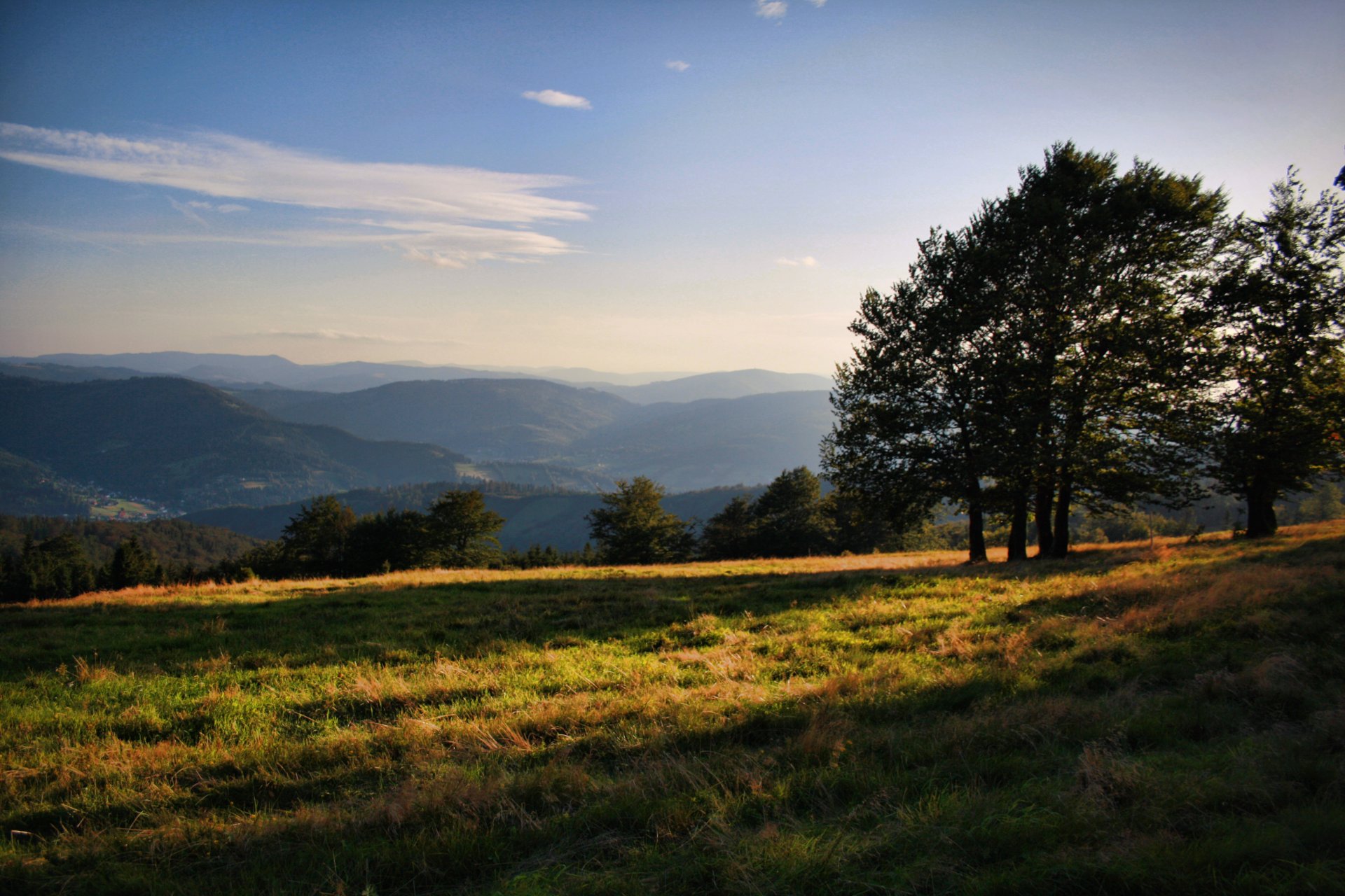 arbres collines herbe rayons du soleil nuages ciel