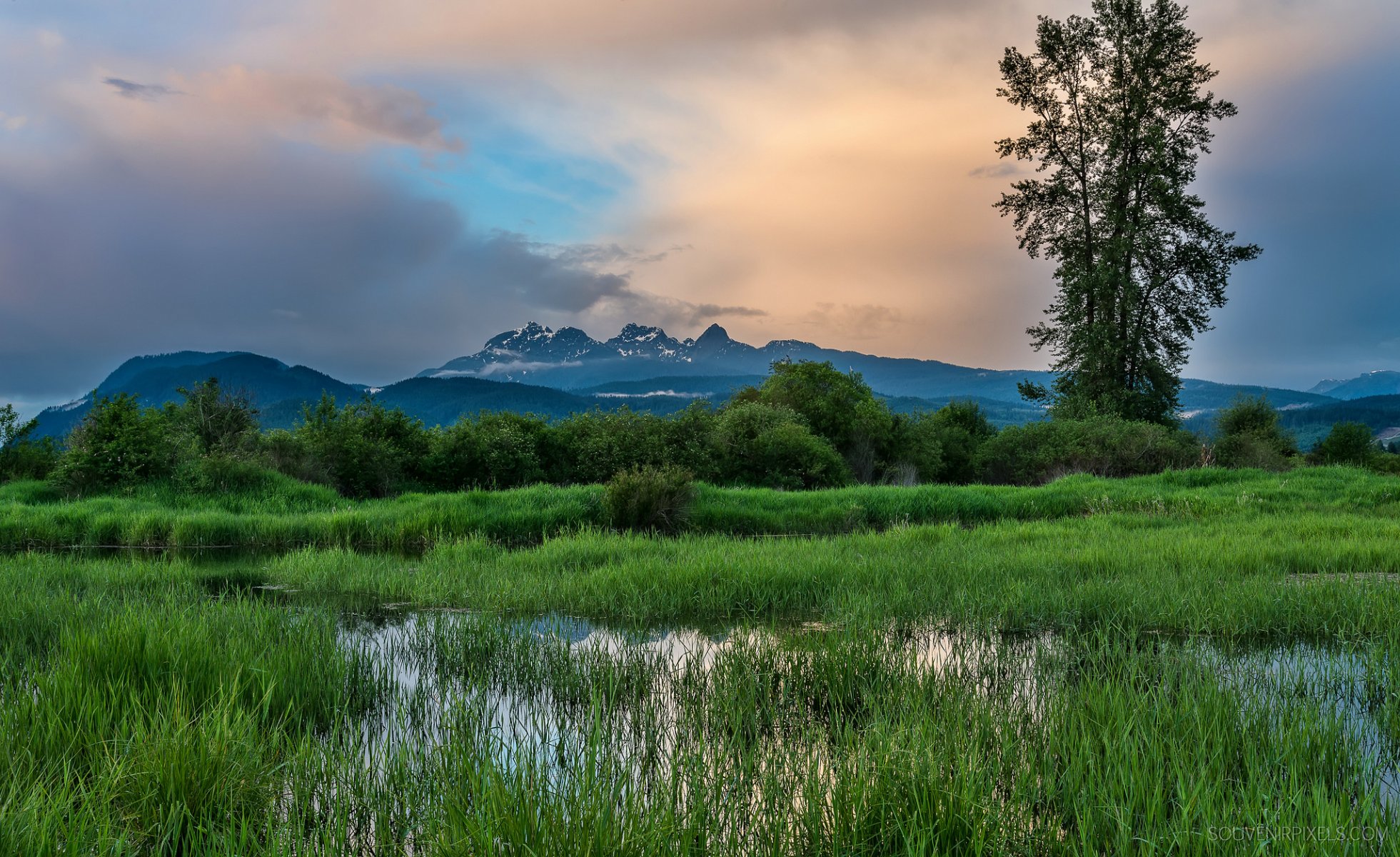 canadá columbia británica provincia montañas árboles hierba prado lago cielo nubes