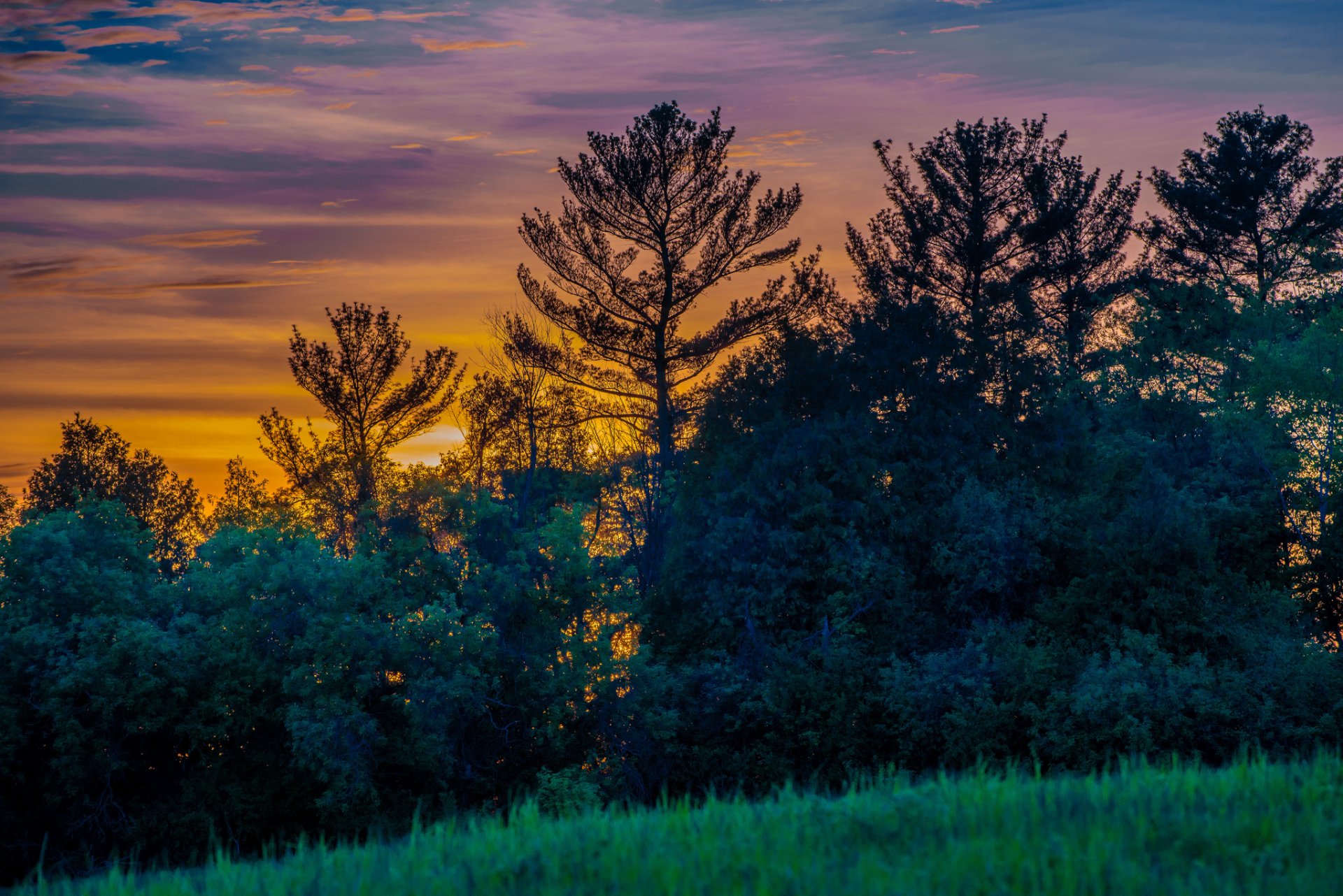 canada ontario provincia radura alberi erba sera tramonto cielo nuvole