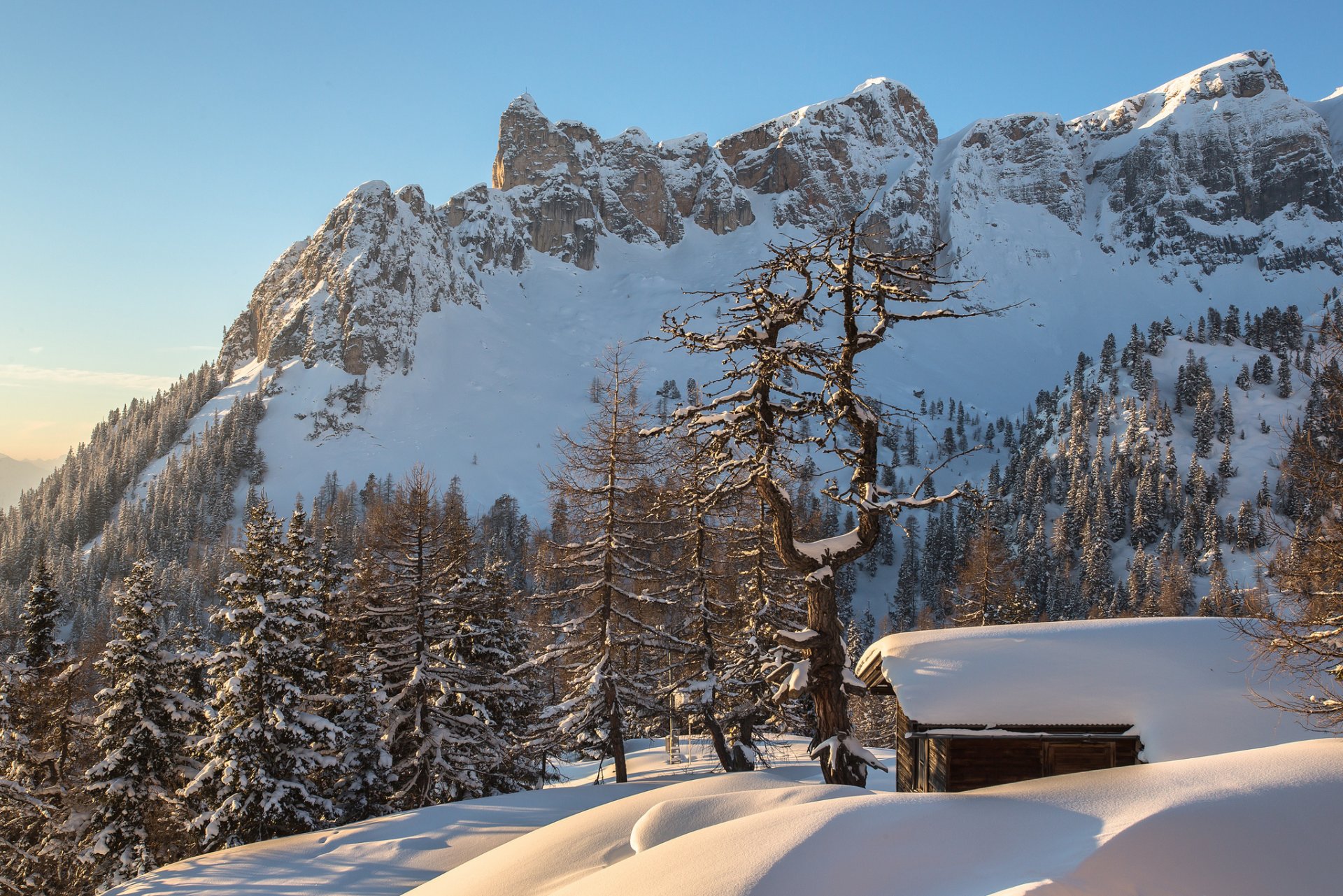 austria alpi montagne neve inverno foresta lodge torsten muehlbacher fotografia