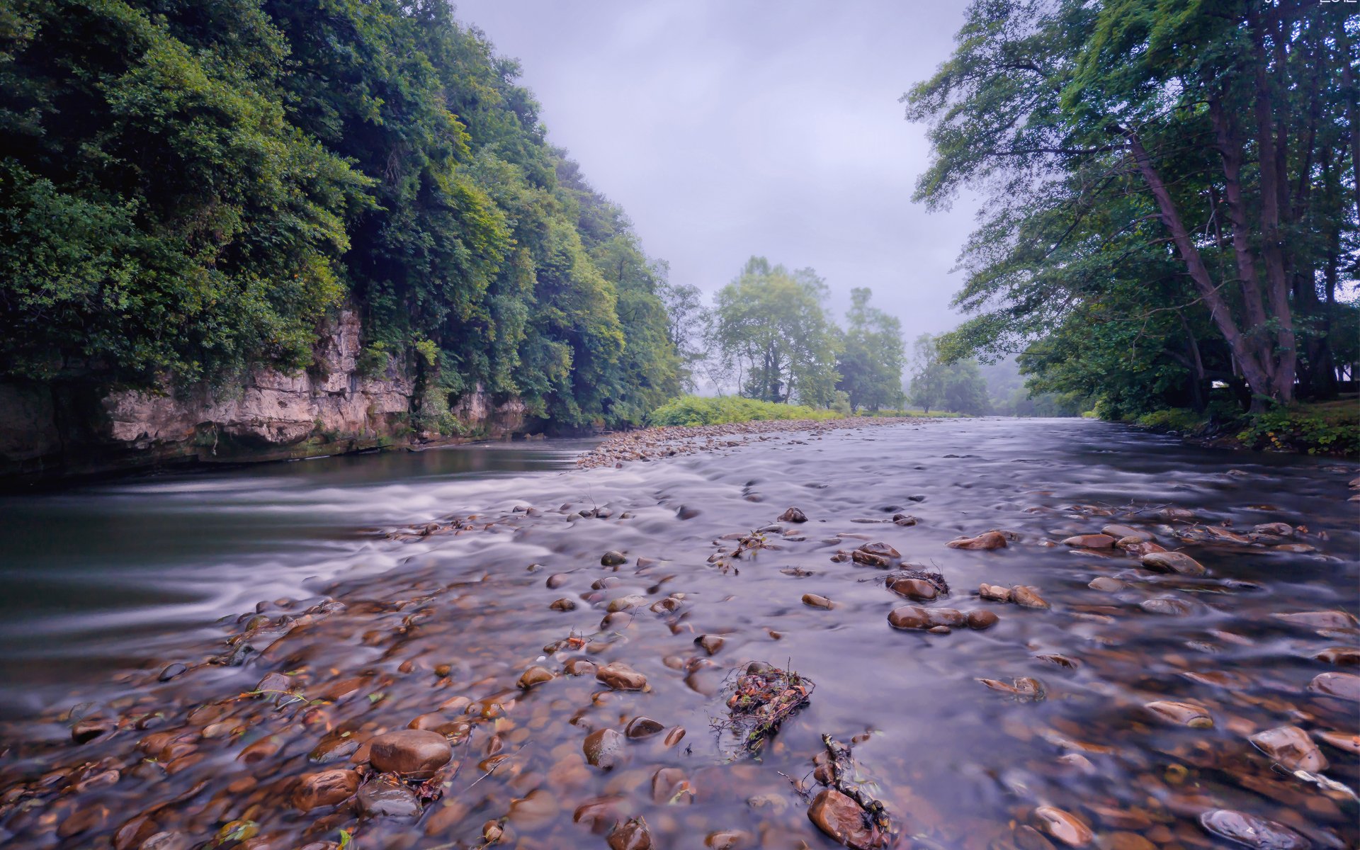 forest river river rocks shoal current tree