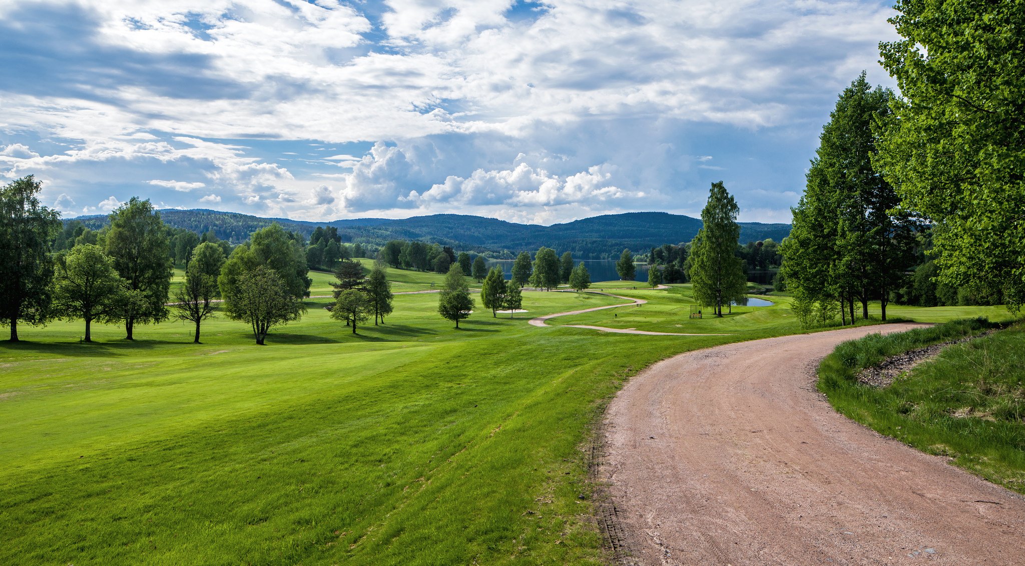 norway summer field grass tree hills green road sky cloud