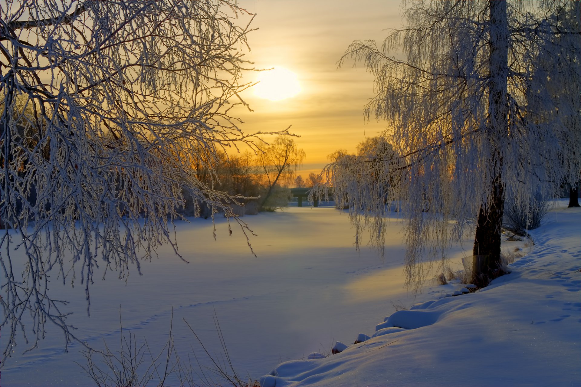 weden winter snow frost forest tree field morning sun sunrise