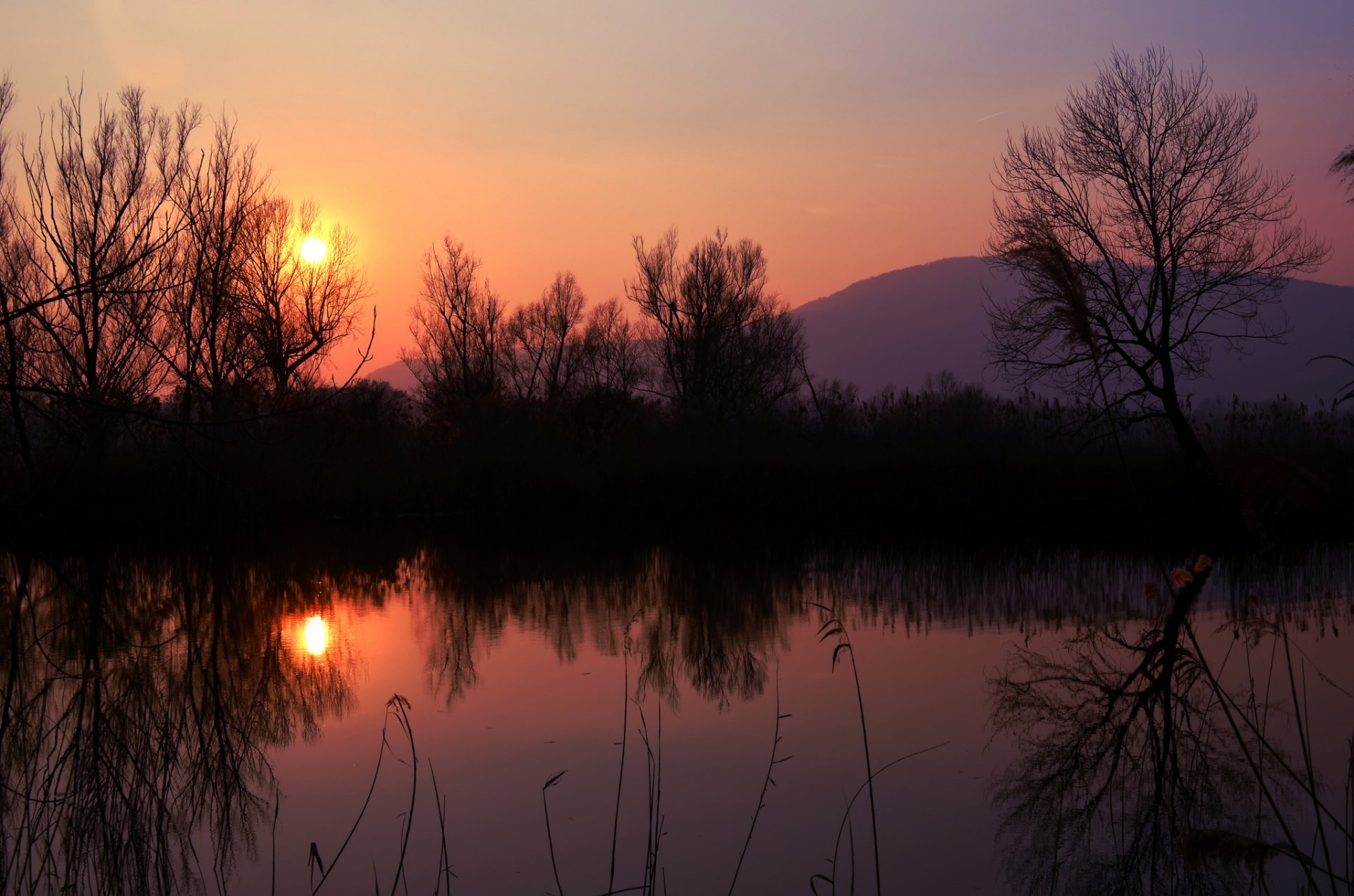 soir soleil coucher de soleil orange ciel montagne côte lac arbres réflexion