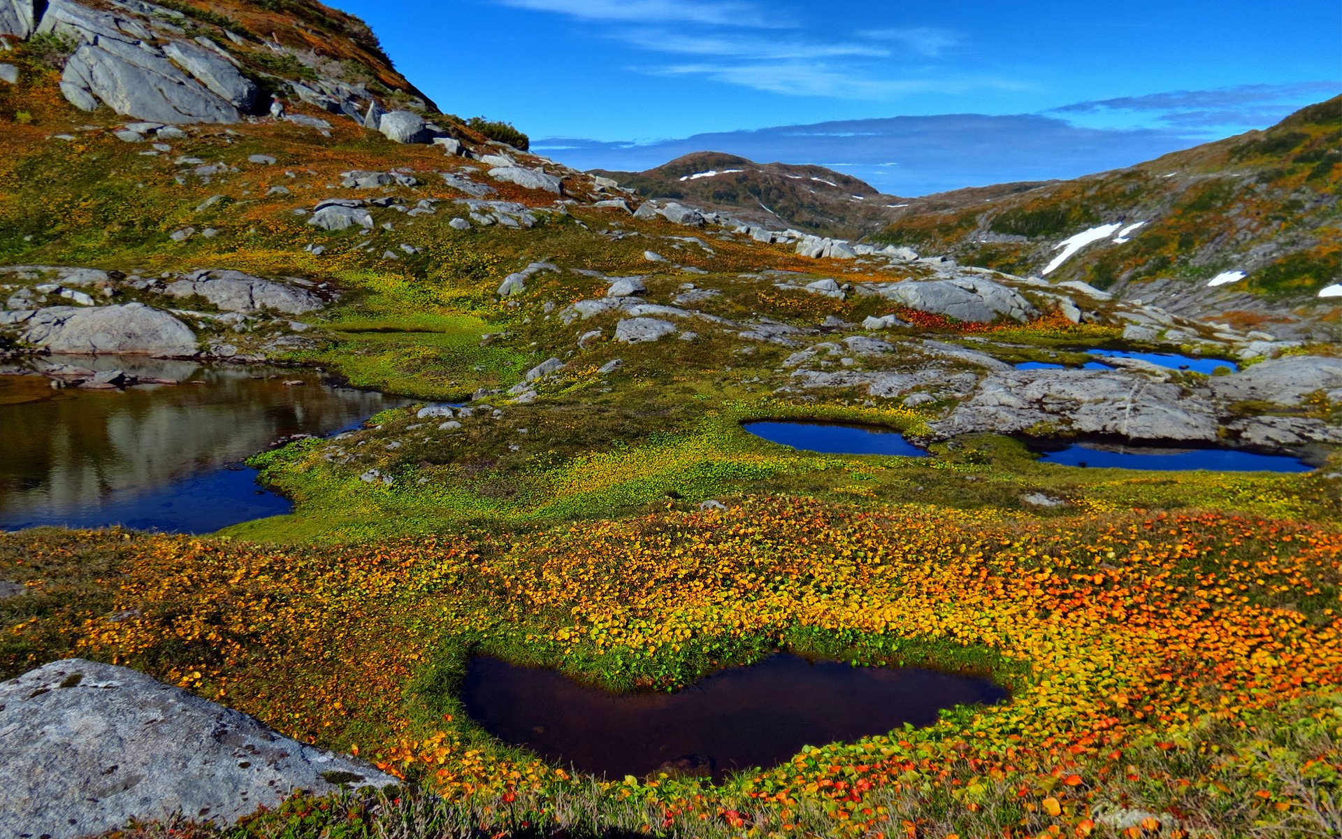 naturaleza montañas lago estanque agua plantas piedras