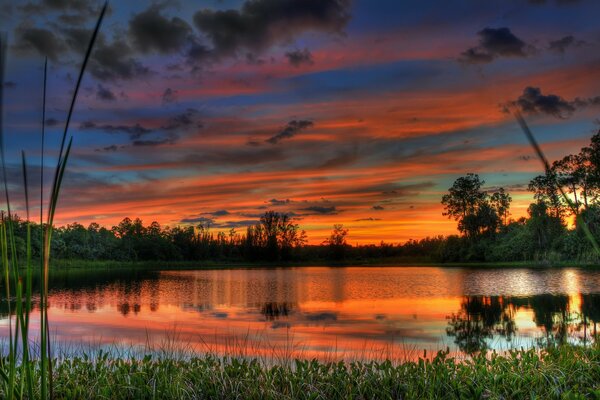 Jasny Zachód słońca odbija się w wodzie leśnego jeziora