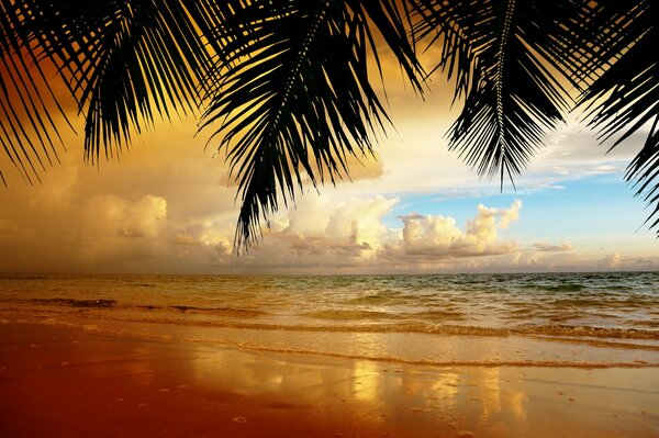Tropical beach with a beautiful sunset