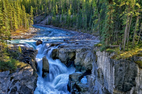 L effervescence des cascades rocheuses de Jasper Park